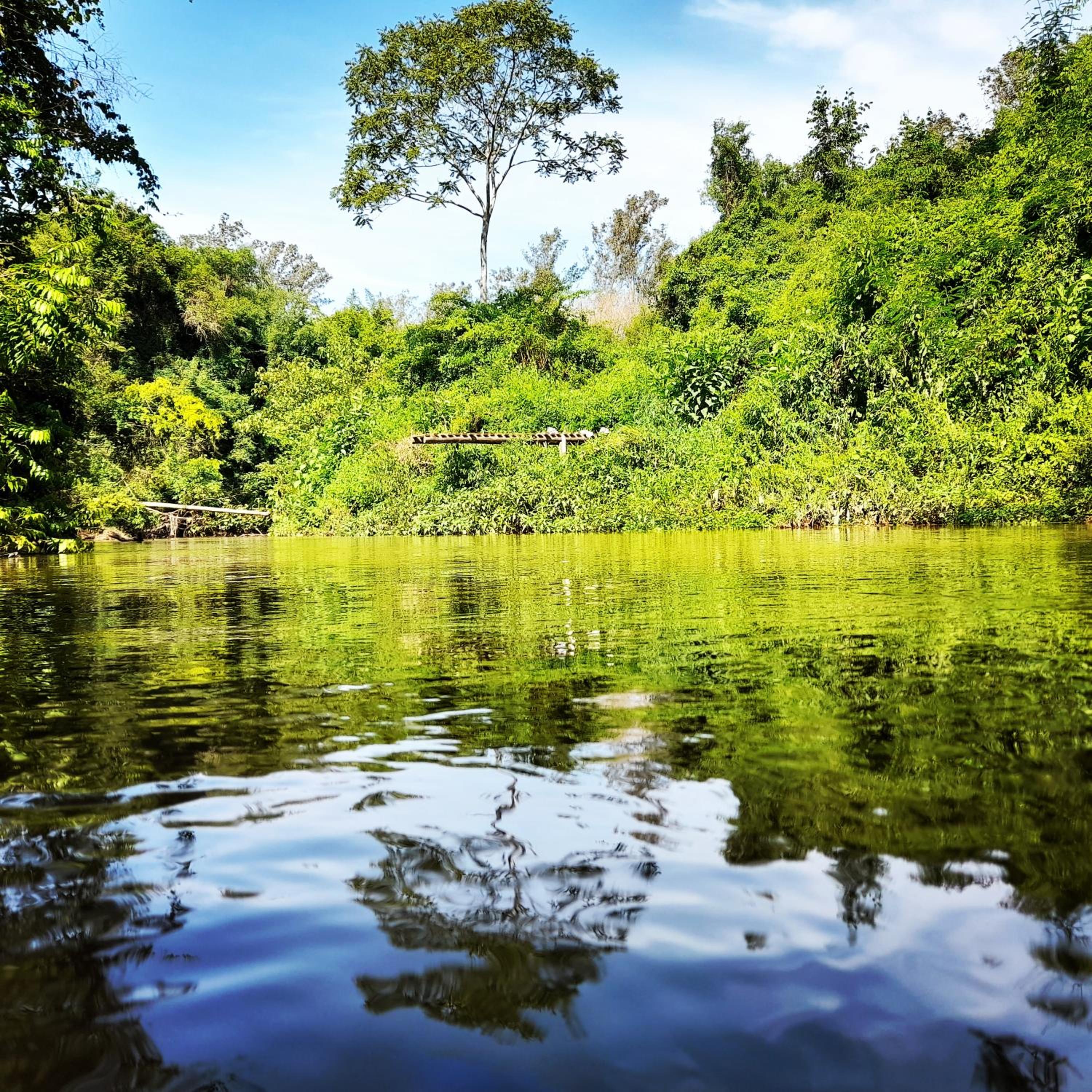 Espaço Sítio Natural - Espaço de Lazer e Hospedagem - Rio Claro