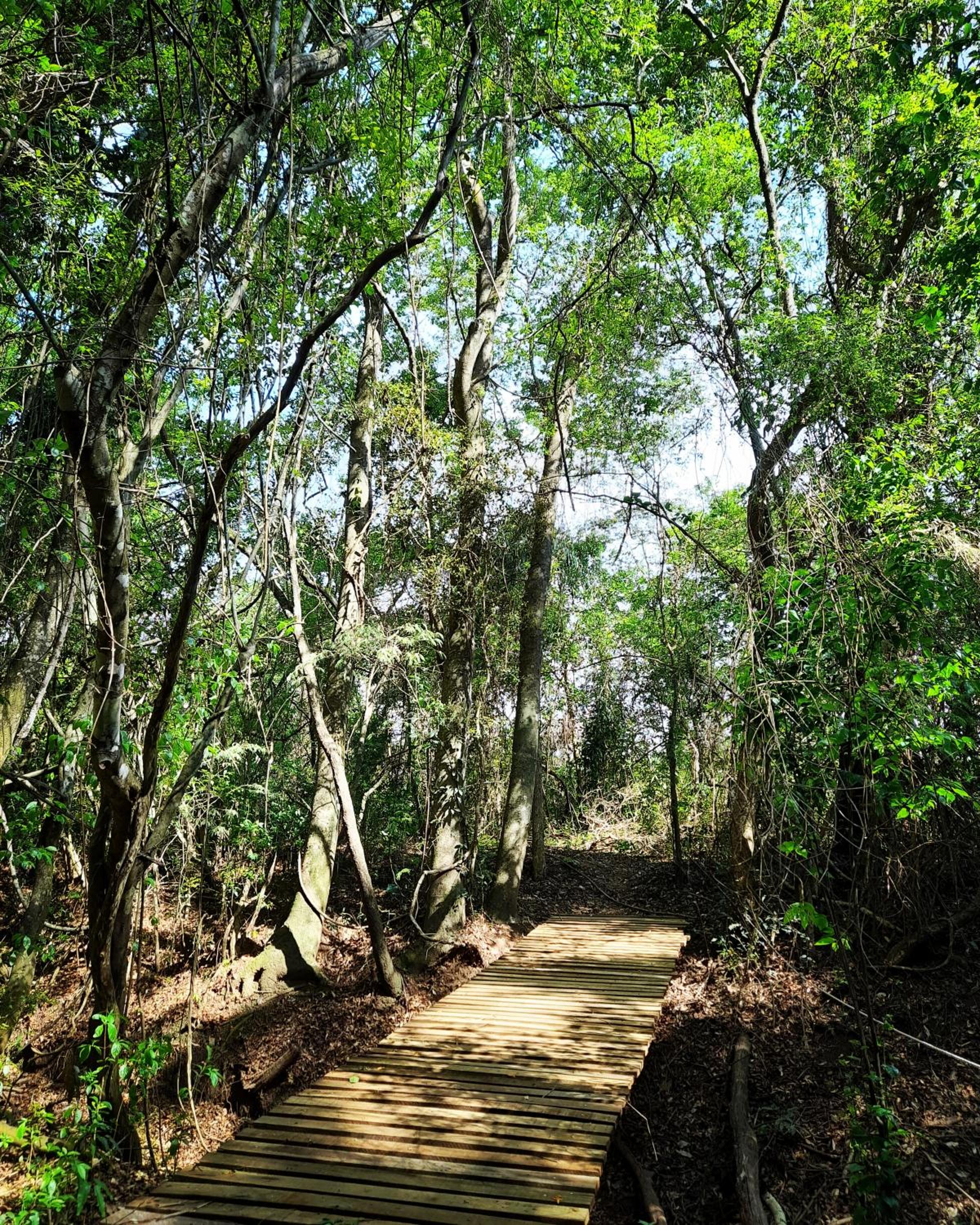 Espaço Sítio Natural - Espaço de Lazer e Hospedagem - Rio Claro