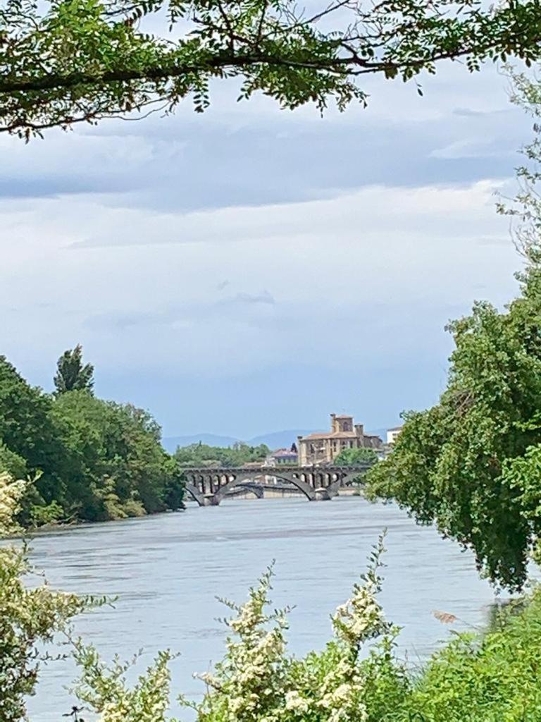 La Villa de Lise, photo 10