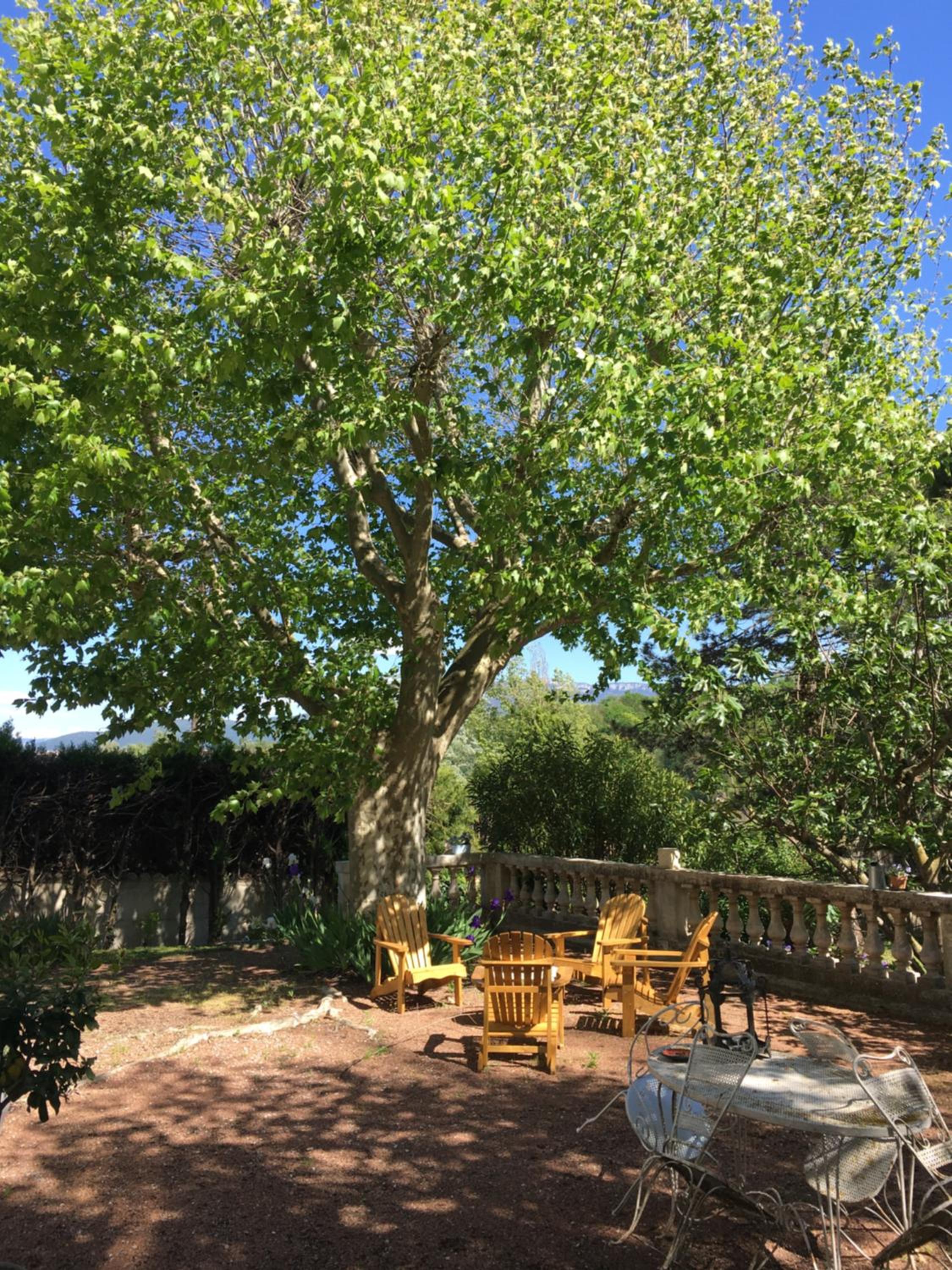 La Villa de Lise, photo 19