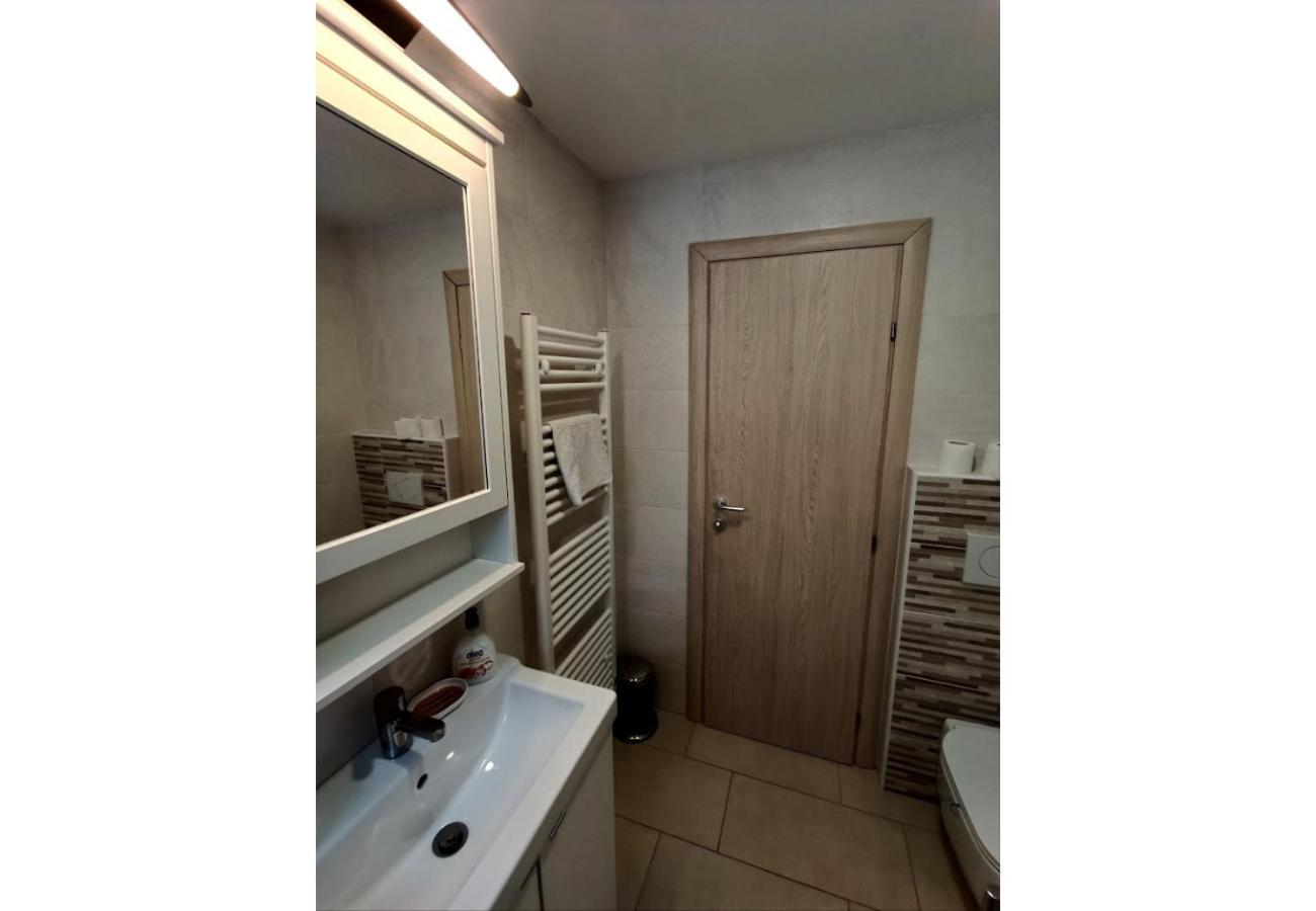 Apartments Mici view 3