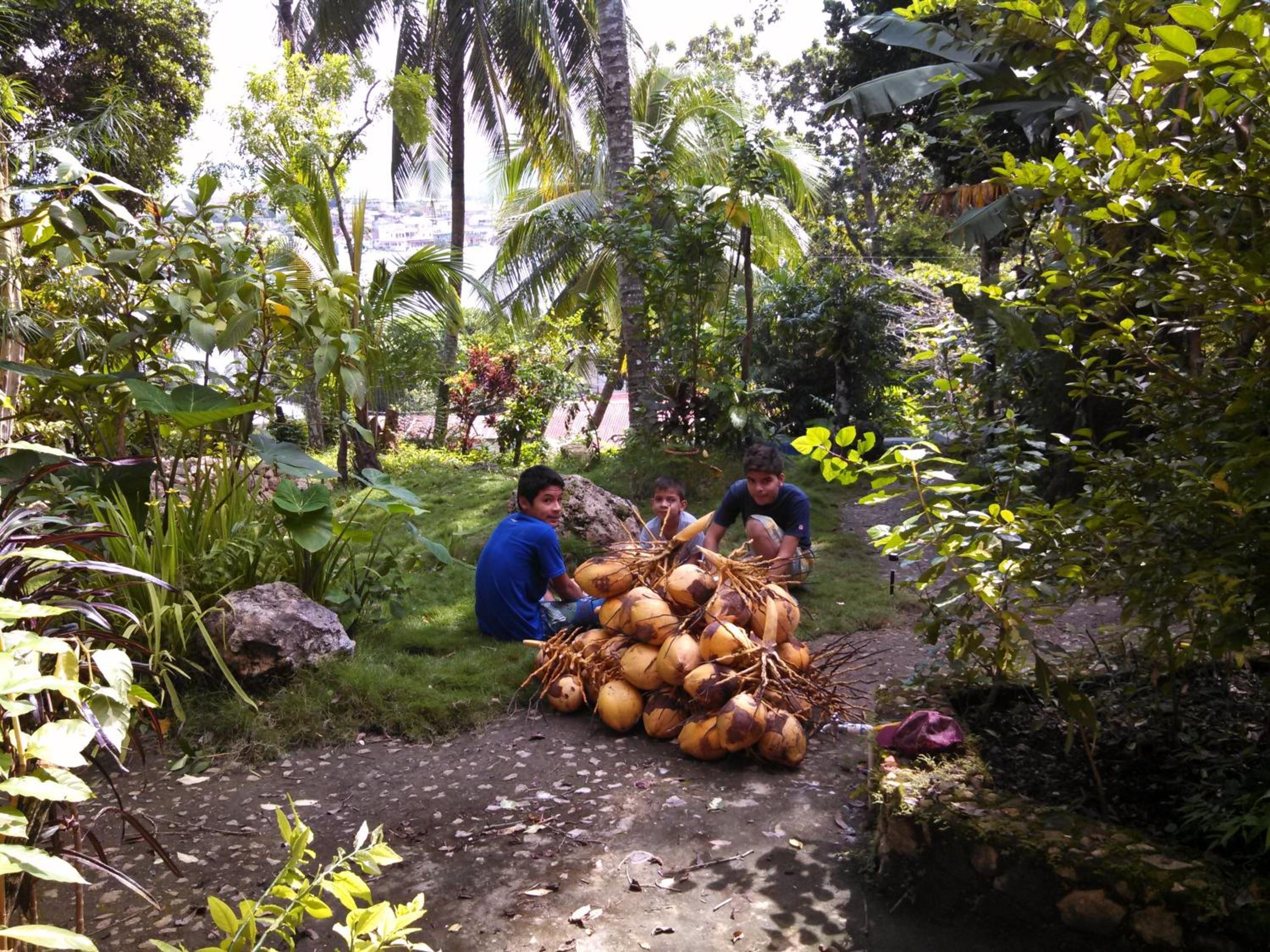 Photo 49