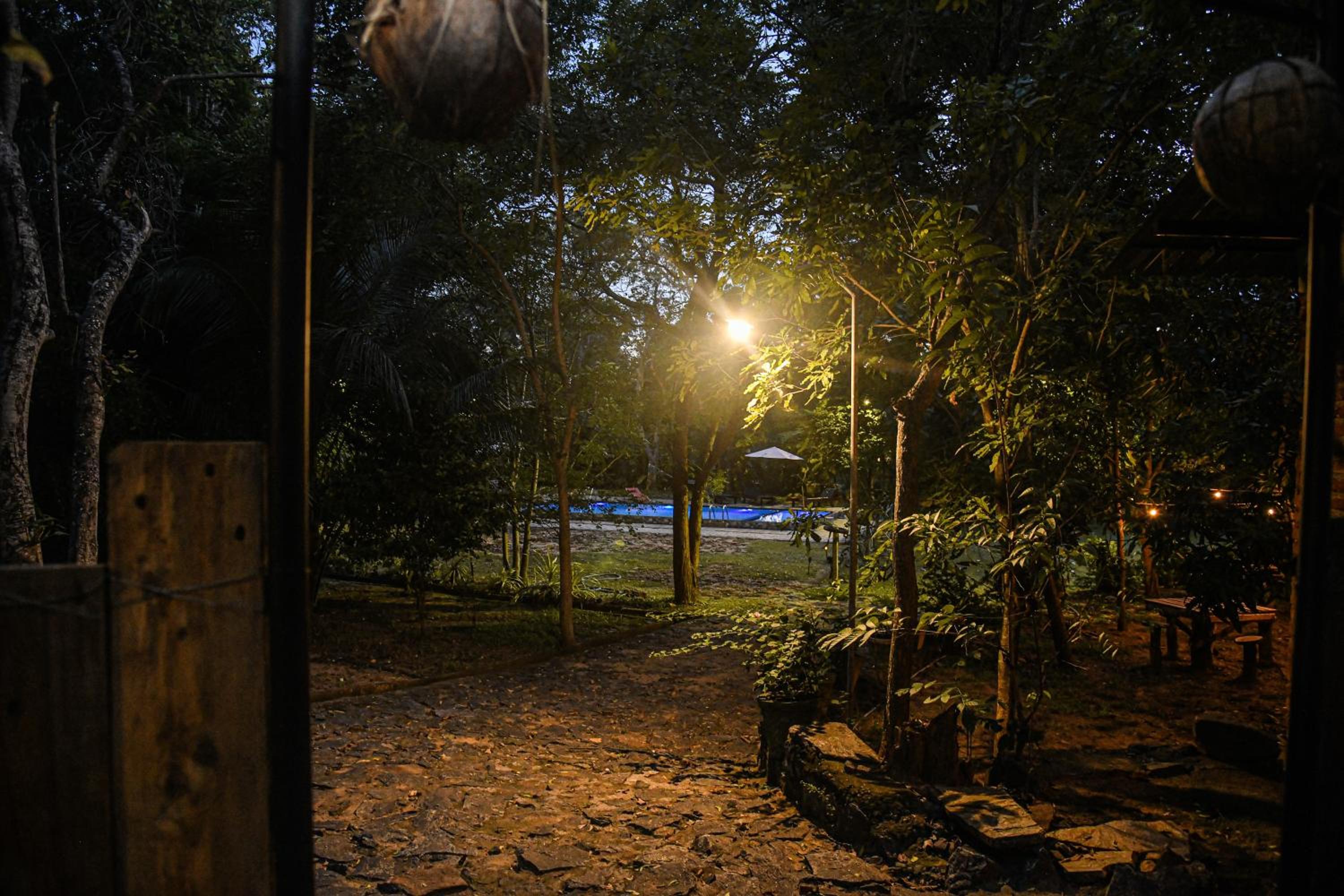 Photo 45