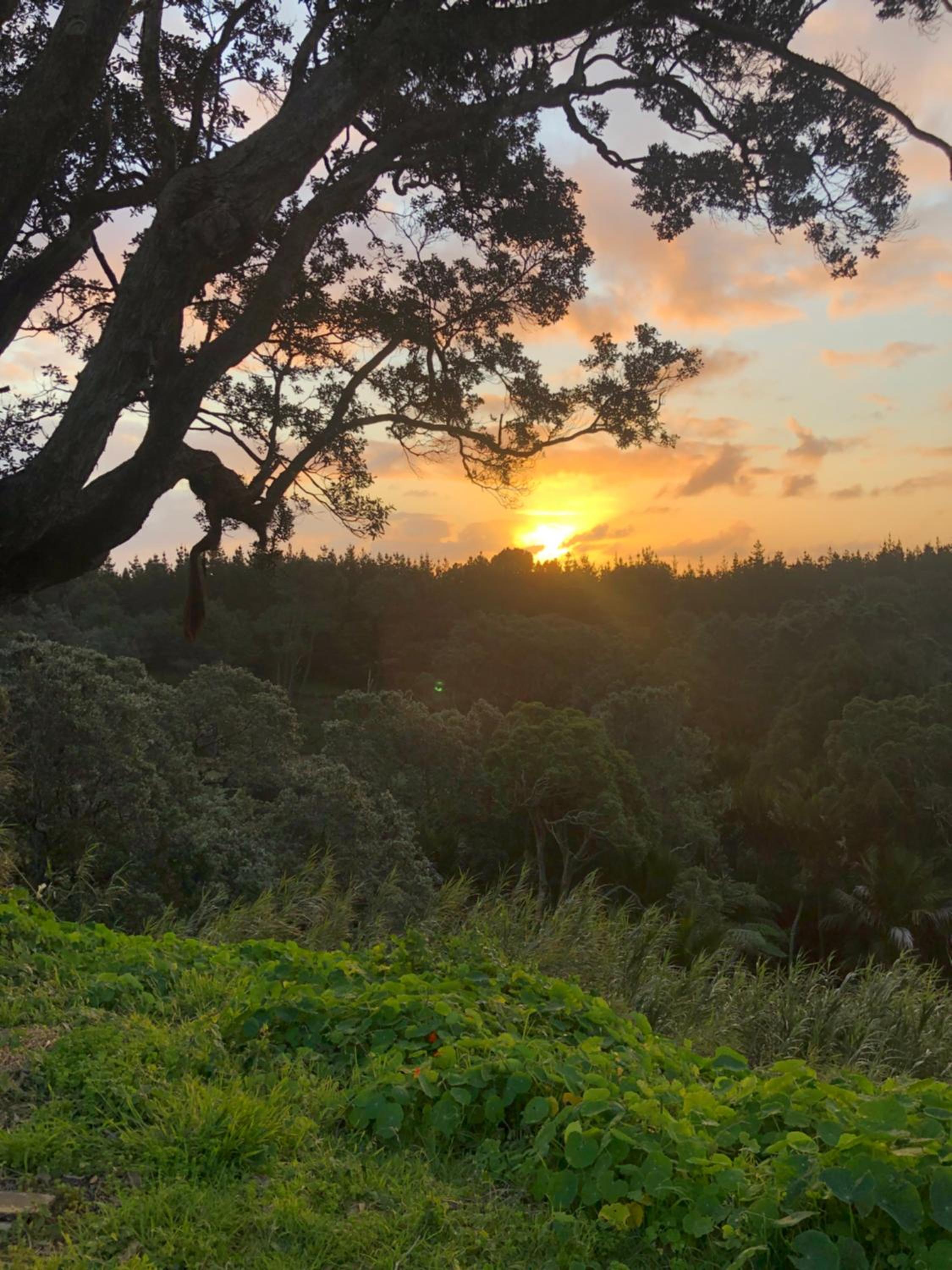 Muriwai Lodge view 5