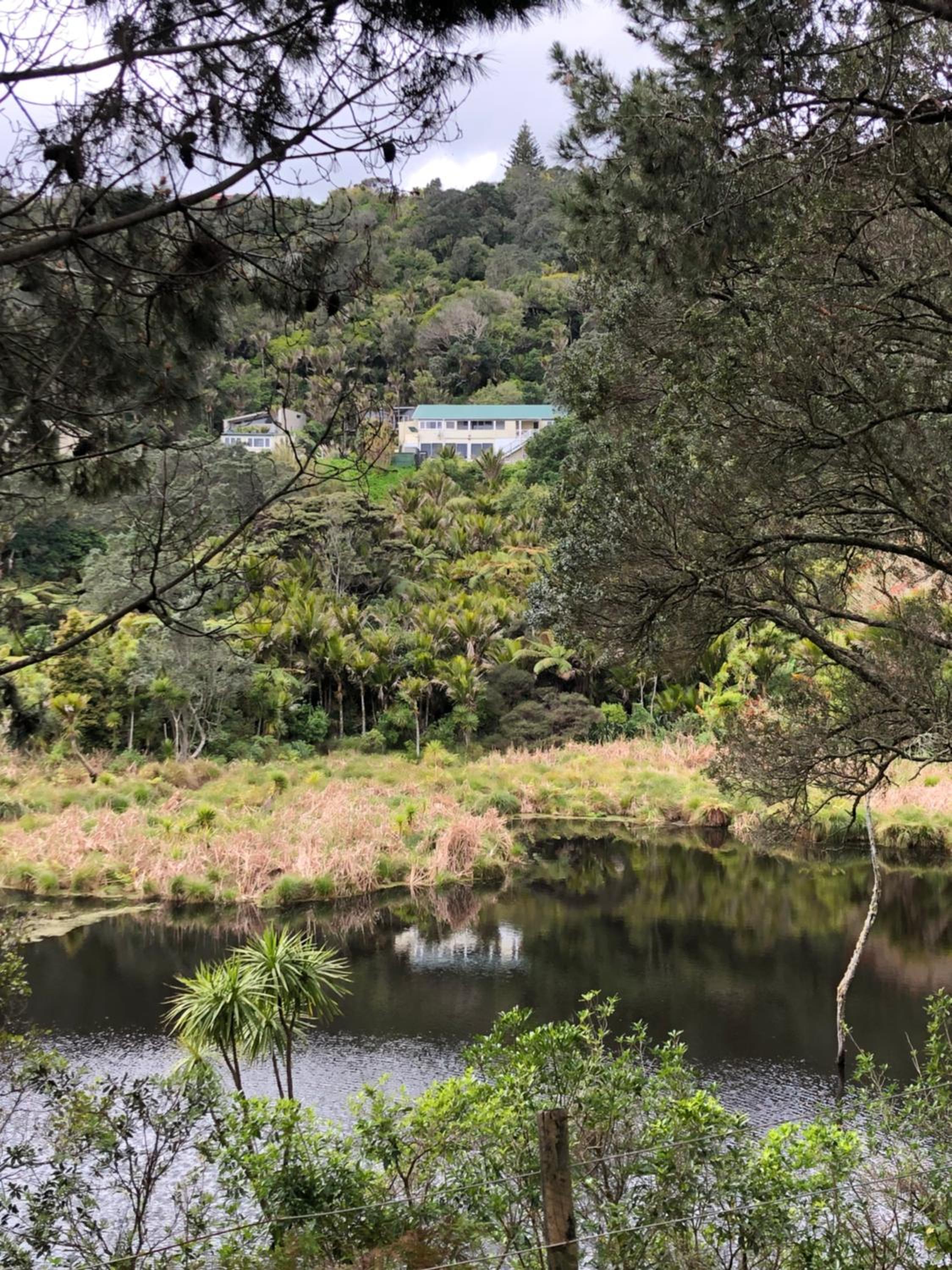 Muriwai Lodge view 4
