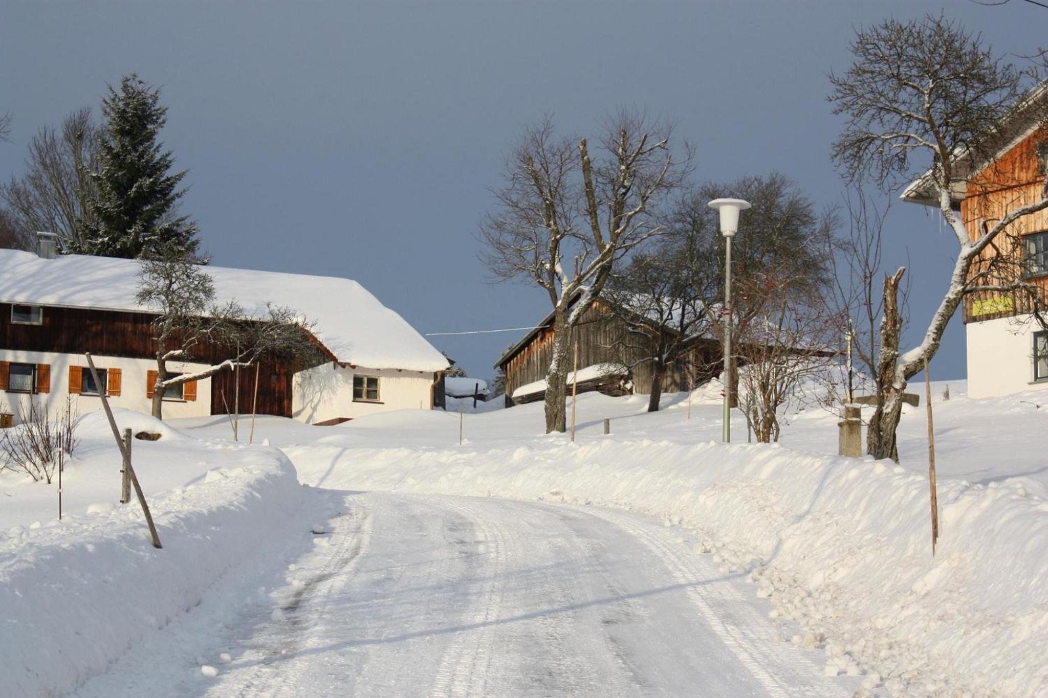 Ferienhaus Marchhäuser 12