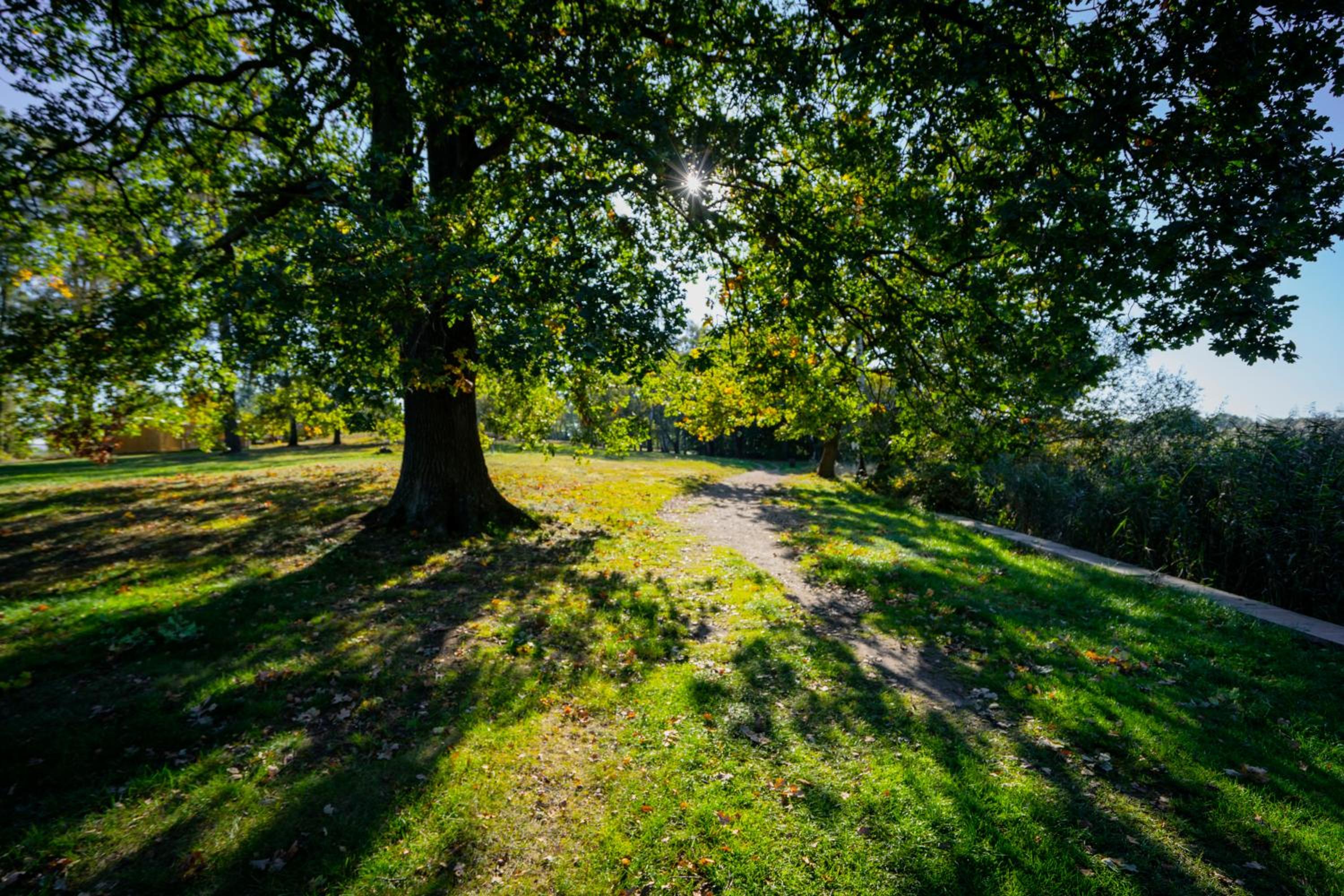 Ferienpark Bad Sonnenland