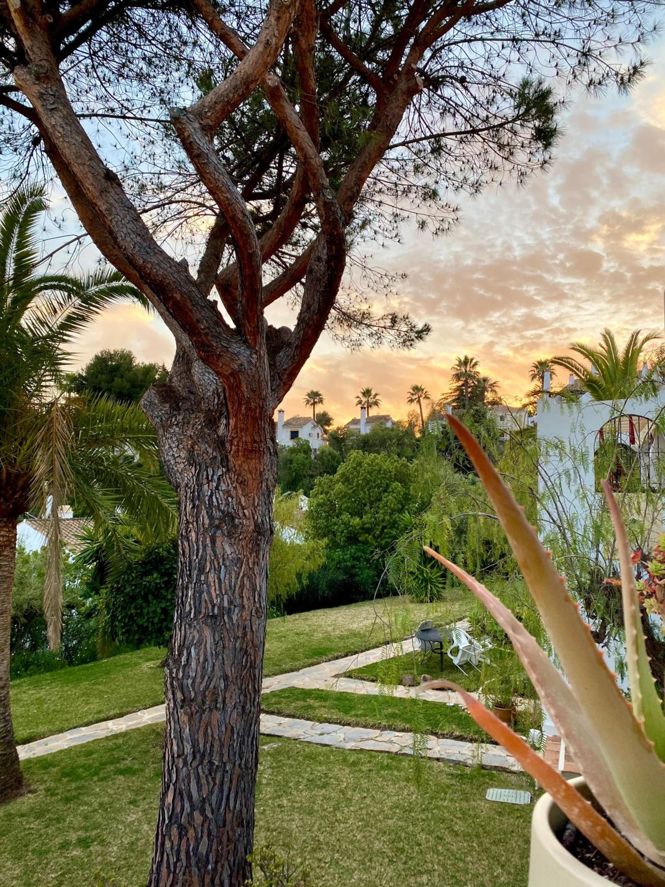 Casa Tropicana Family & Golf photo 3