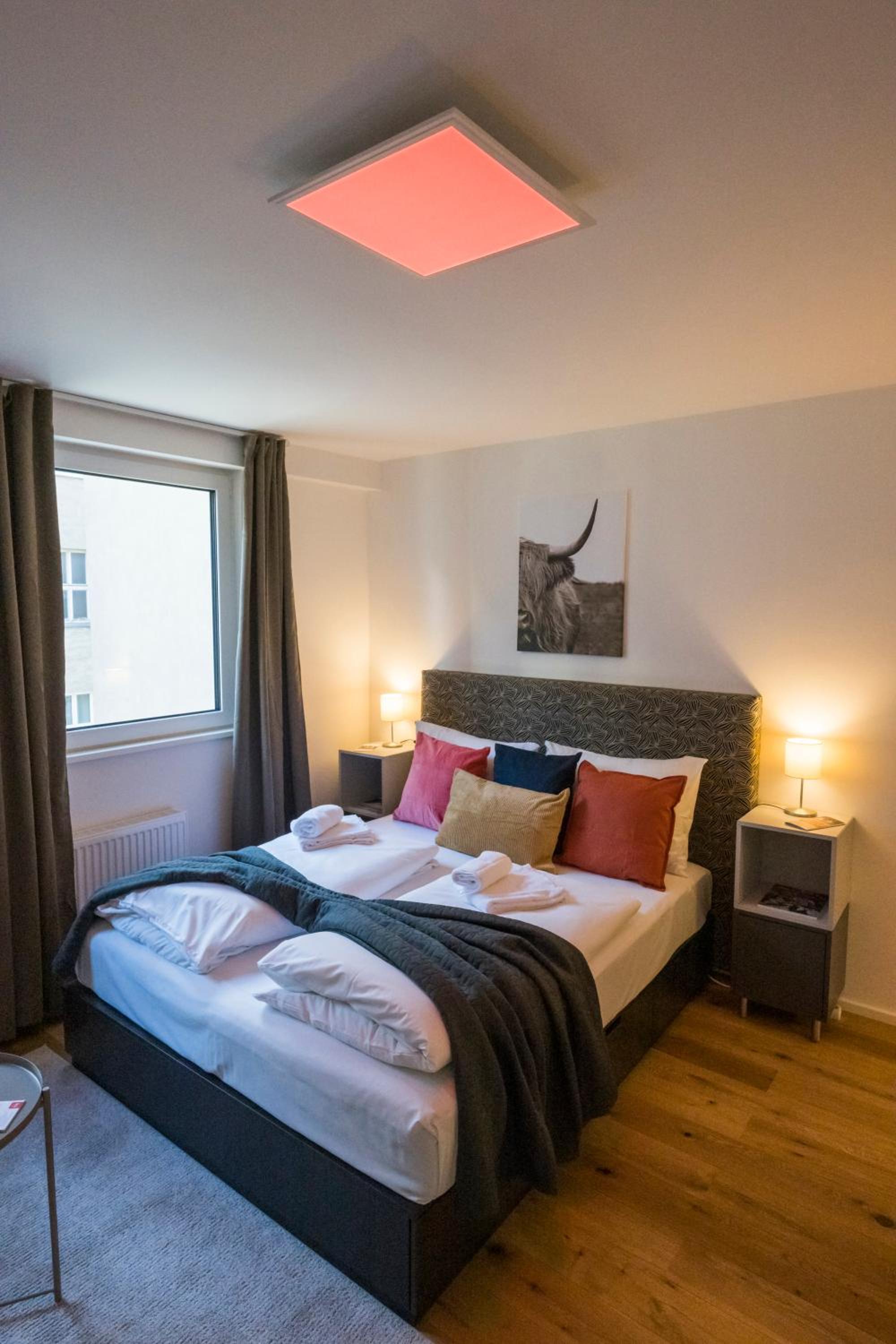 Cozy Favoriten