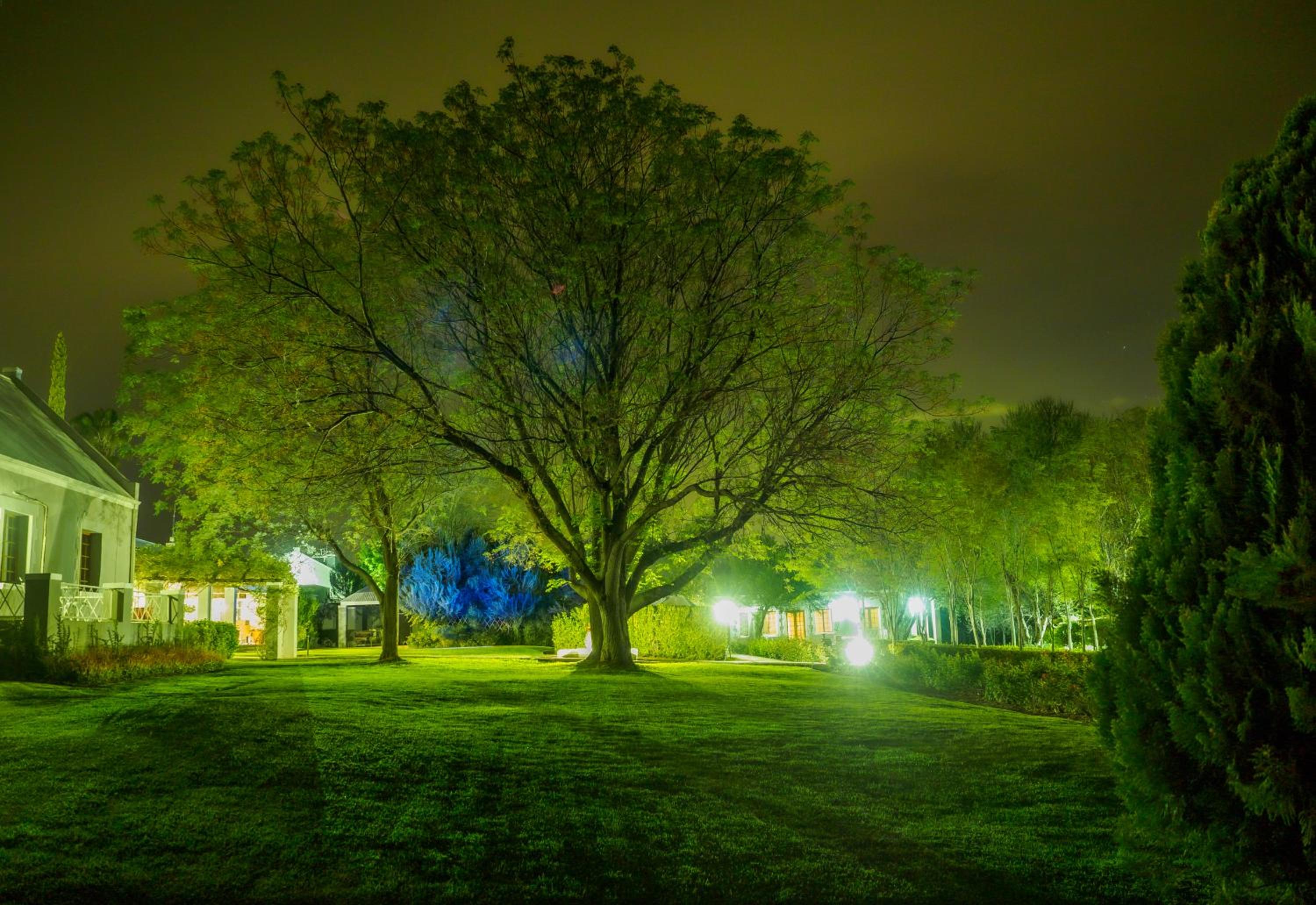 Thorntree Country Lodge view 4
