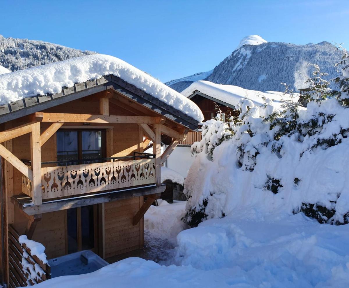Chalet Delphinette - Spa privatif