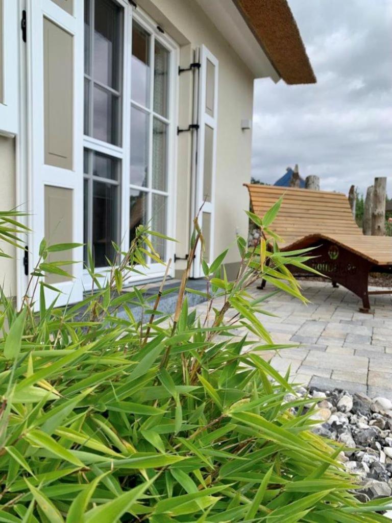 Reetvilla Strelablick