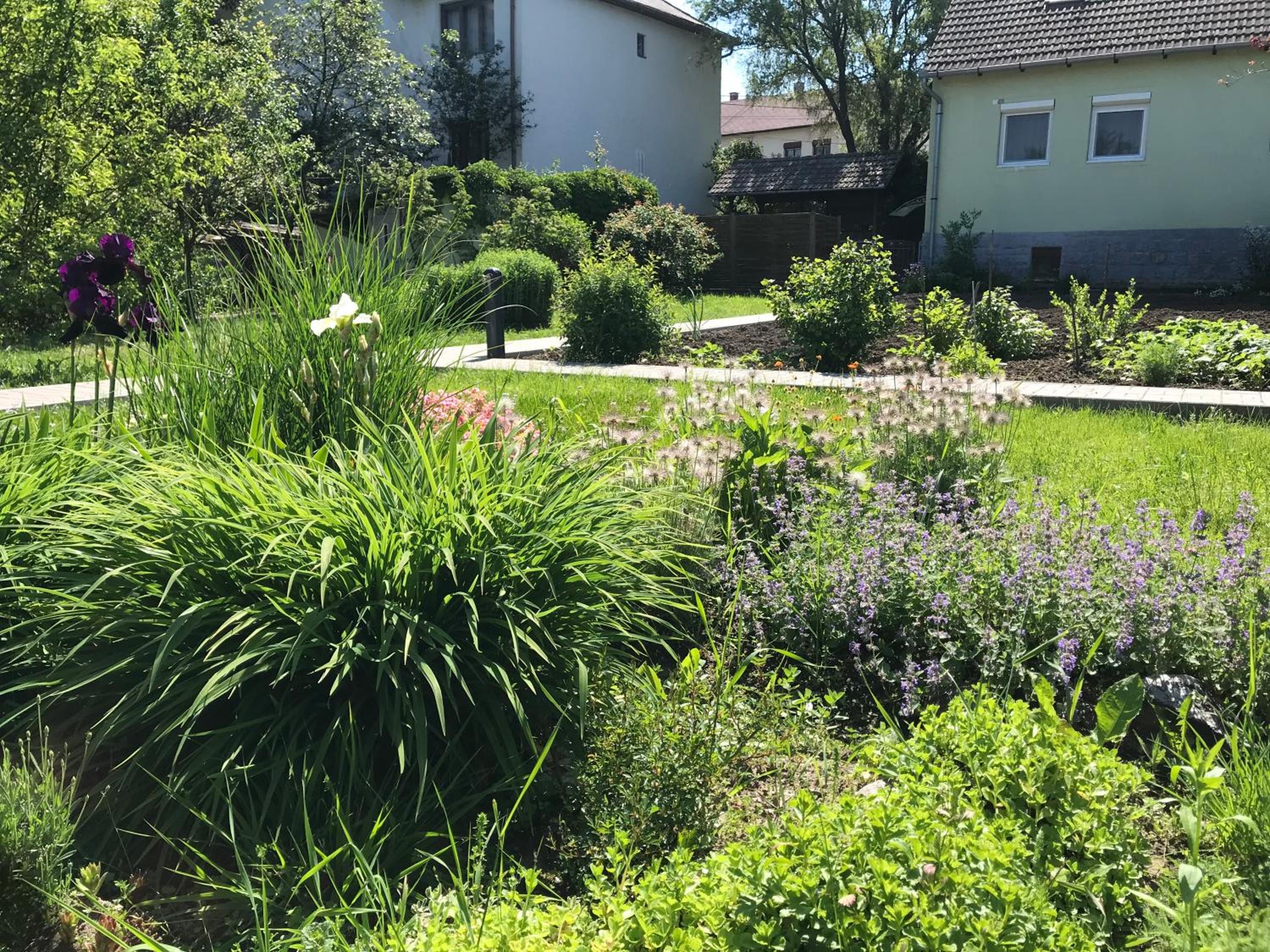 Photo 26
