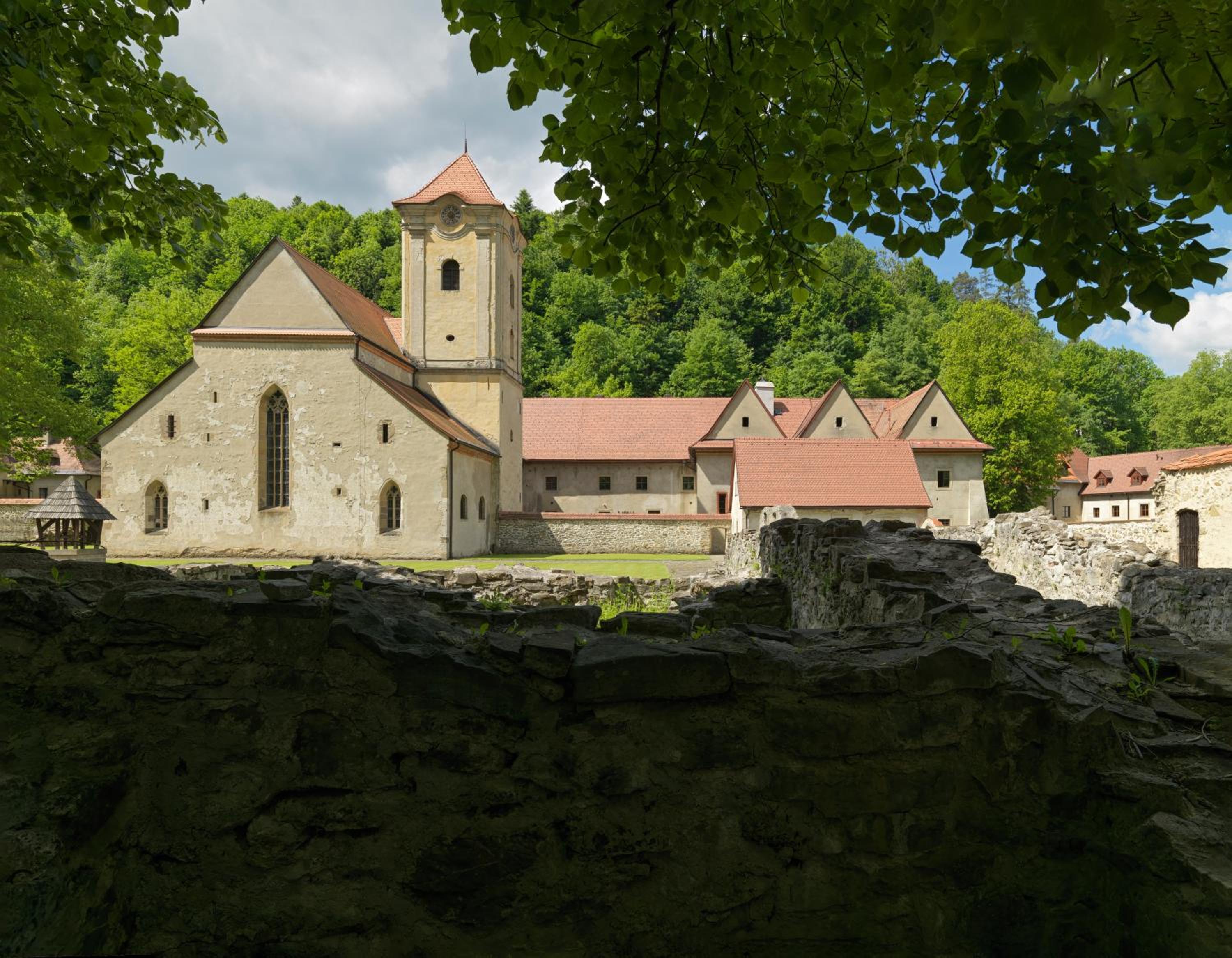 Photo 12