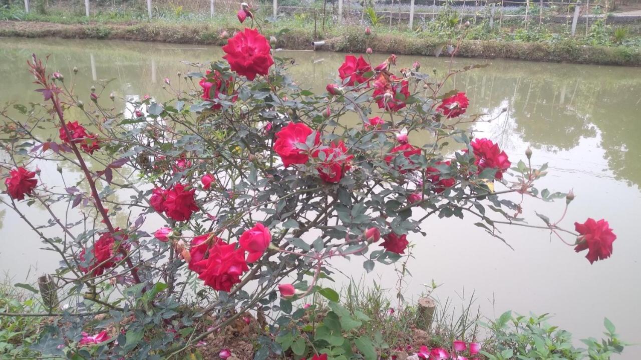 Photo 21