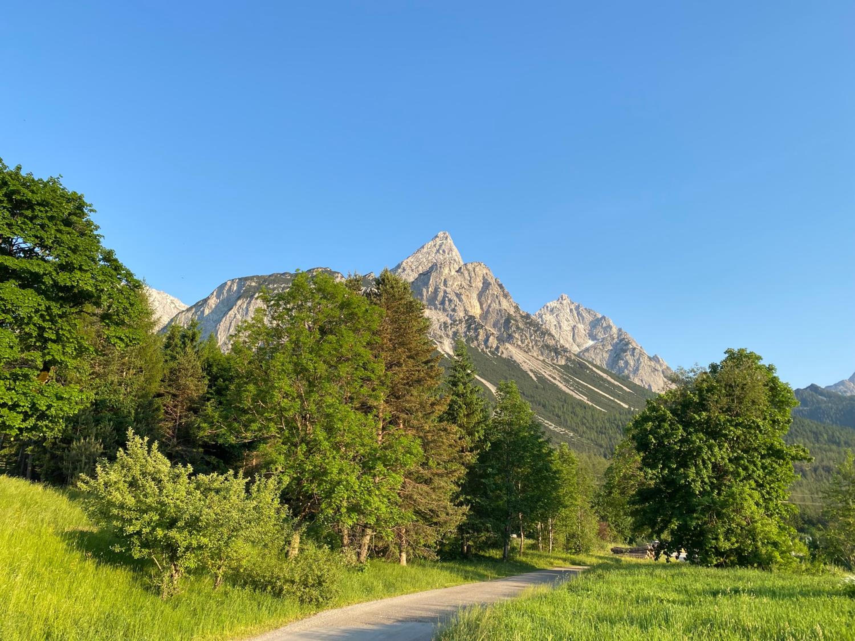 Photo 25
