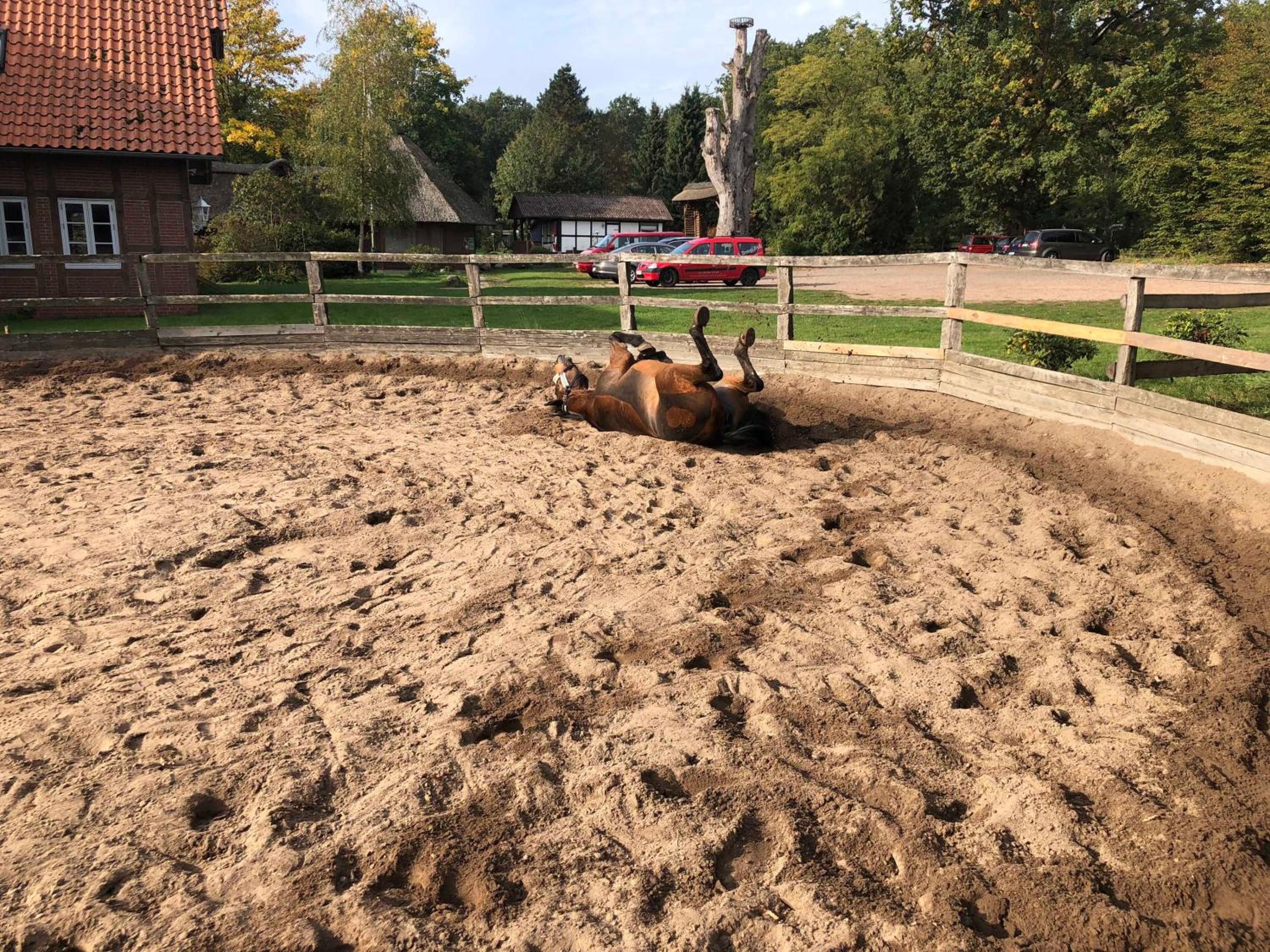 Ferienpark Geesthof