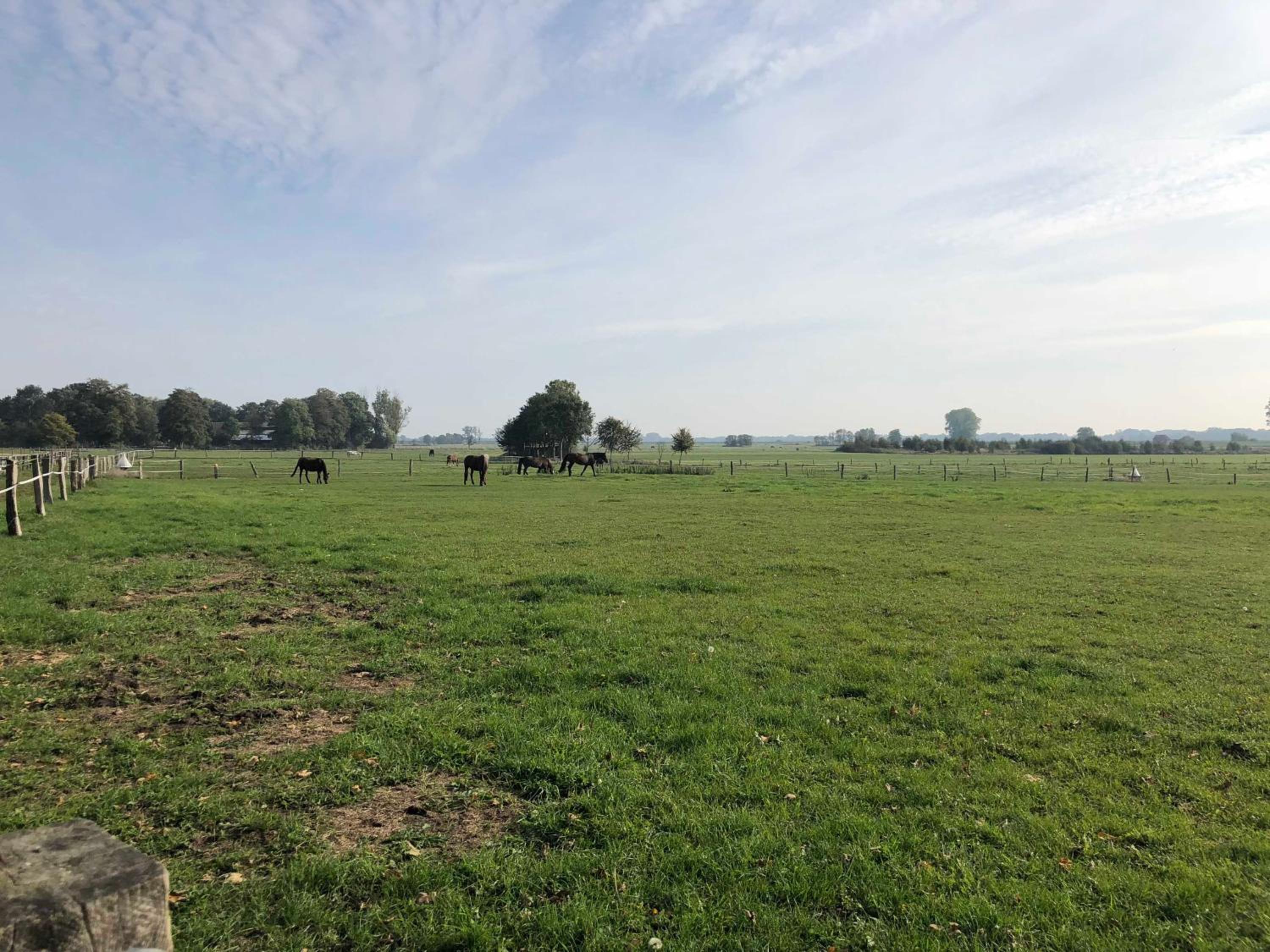 Ferienpark Geesthof