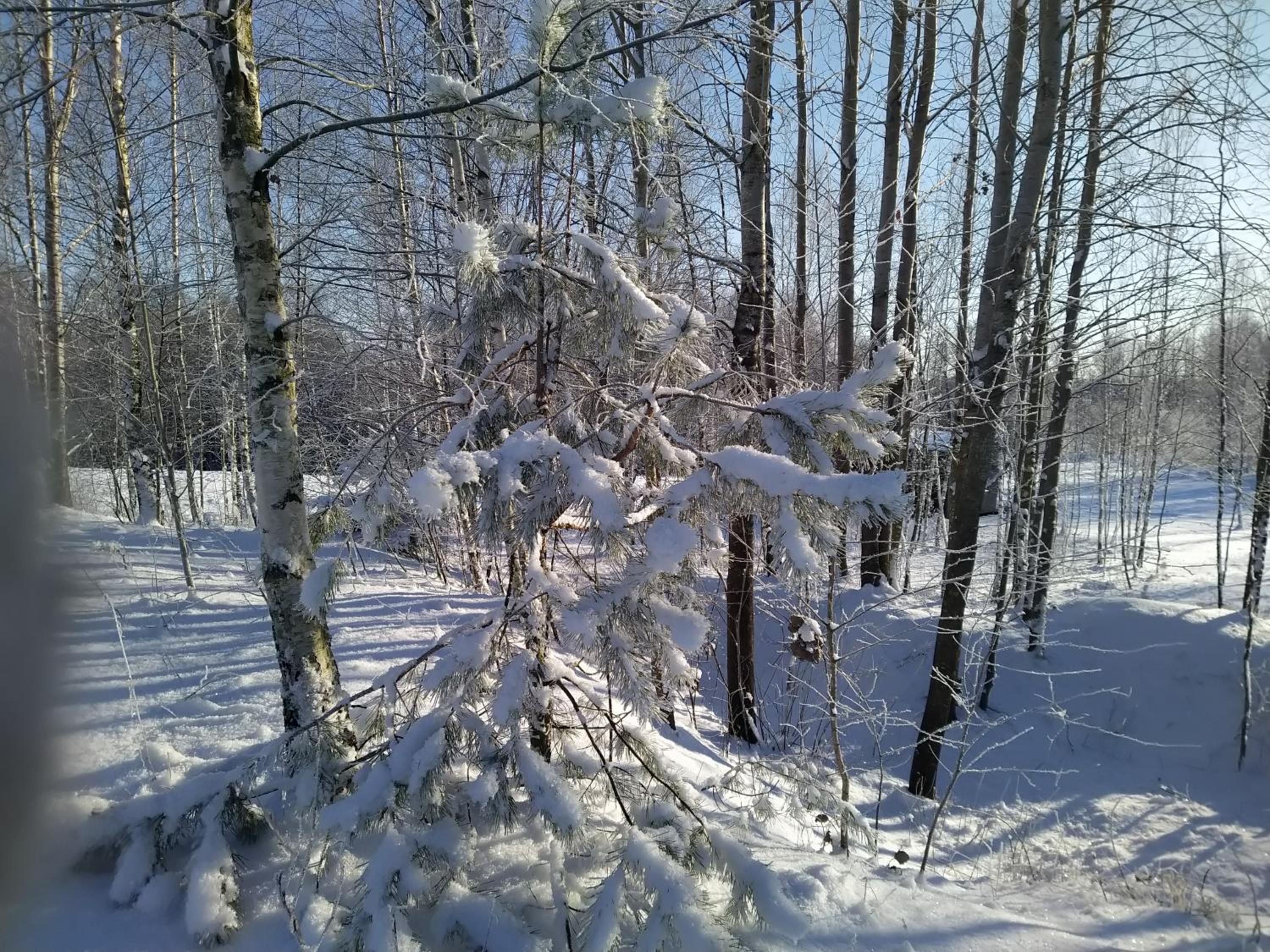 Photo 14