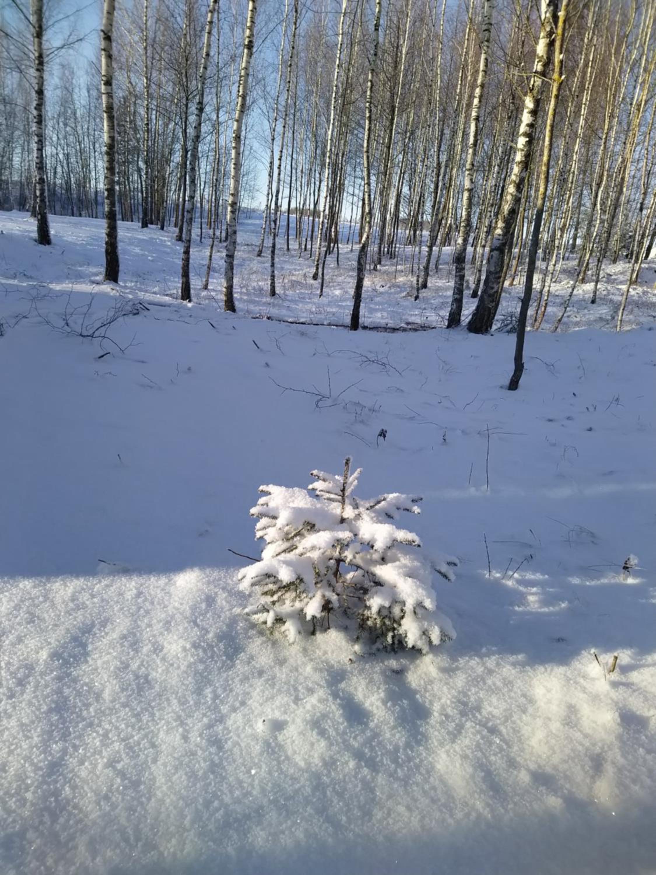 Photo 16