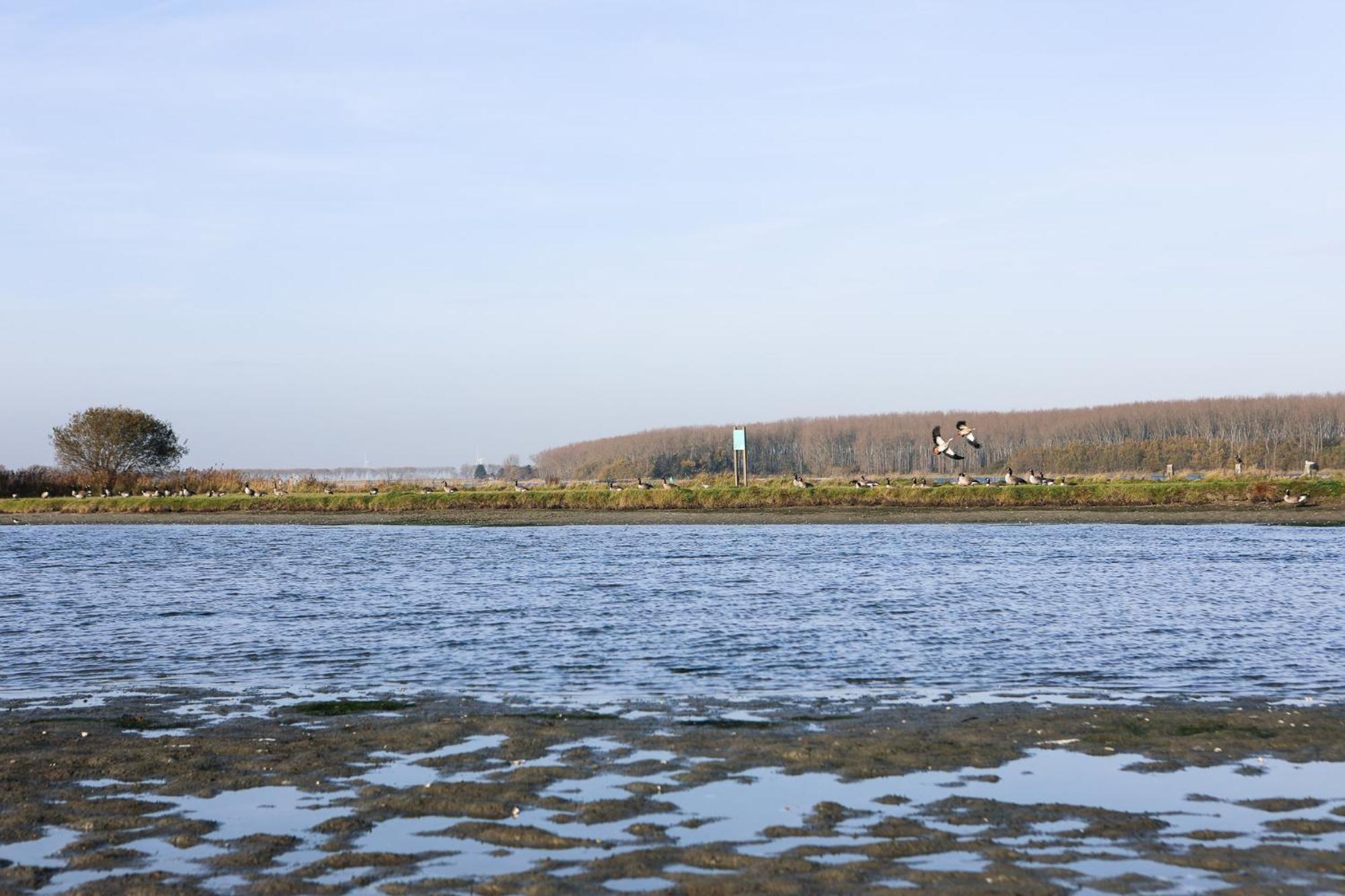 Wolphaartsdijk Huis met een uitzicht view 2