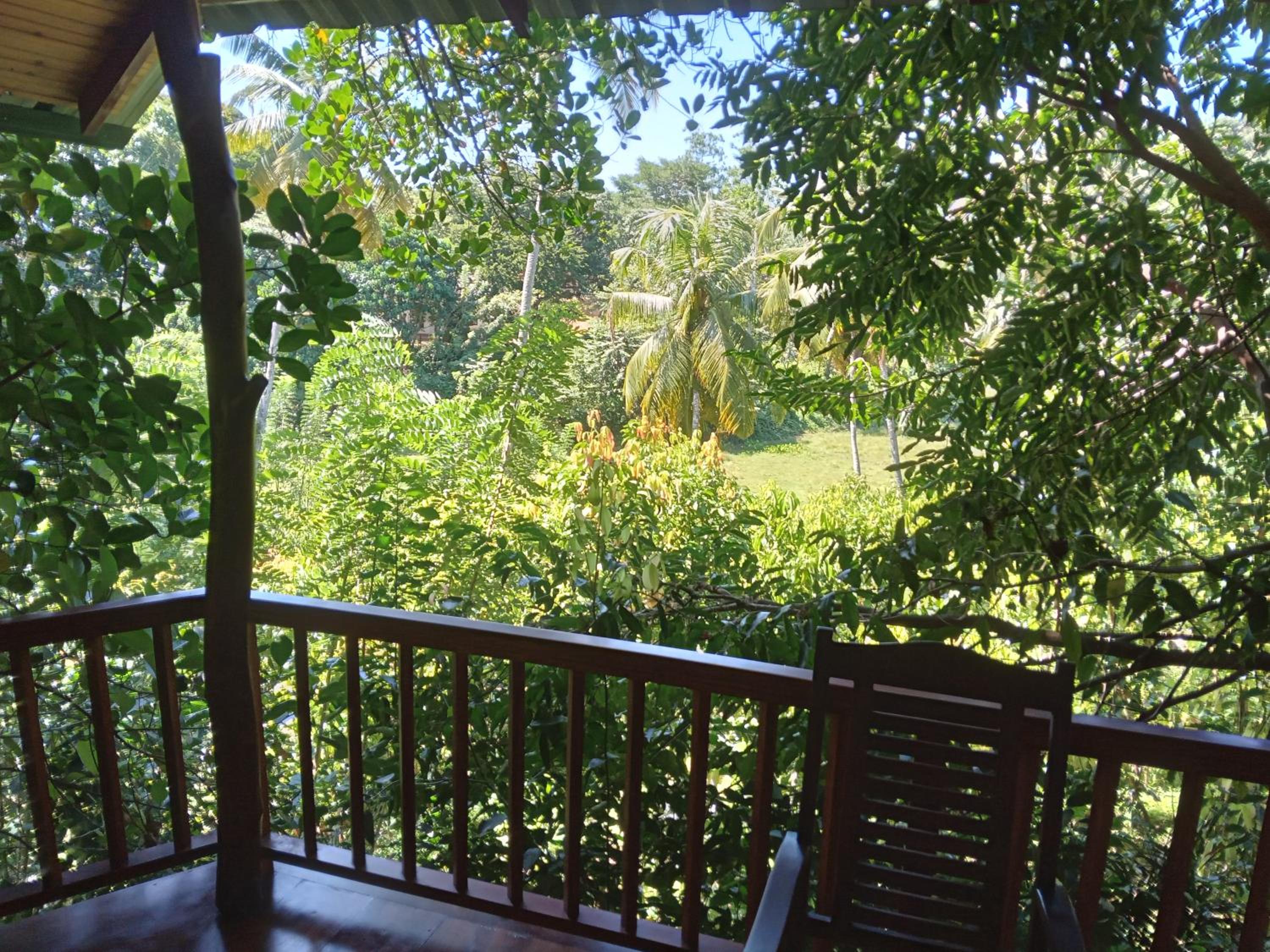 Cinnamon View Lodge Mirissa view 4