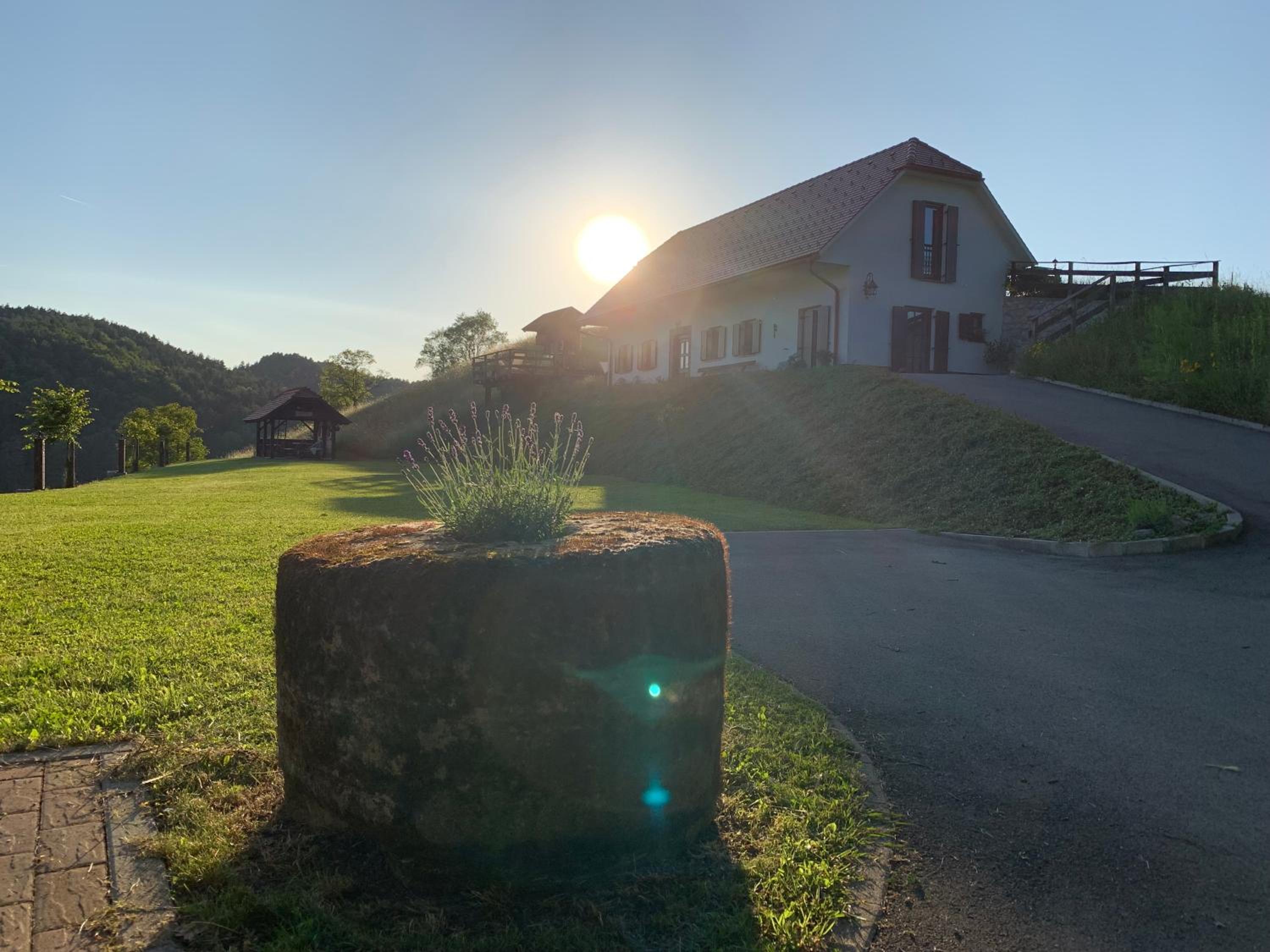 Tourist farm Artisek