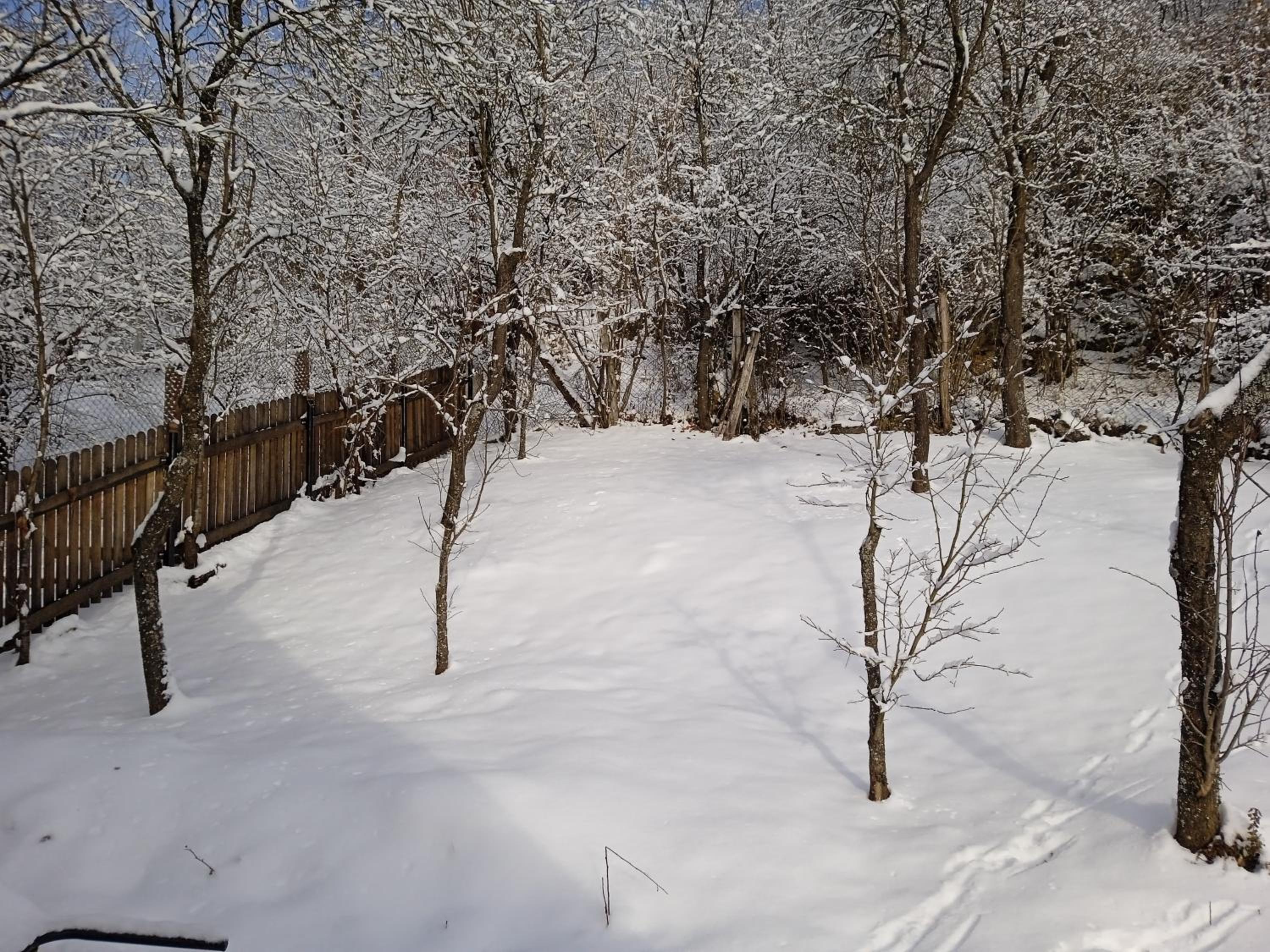 Photo 49