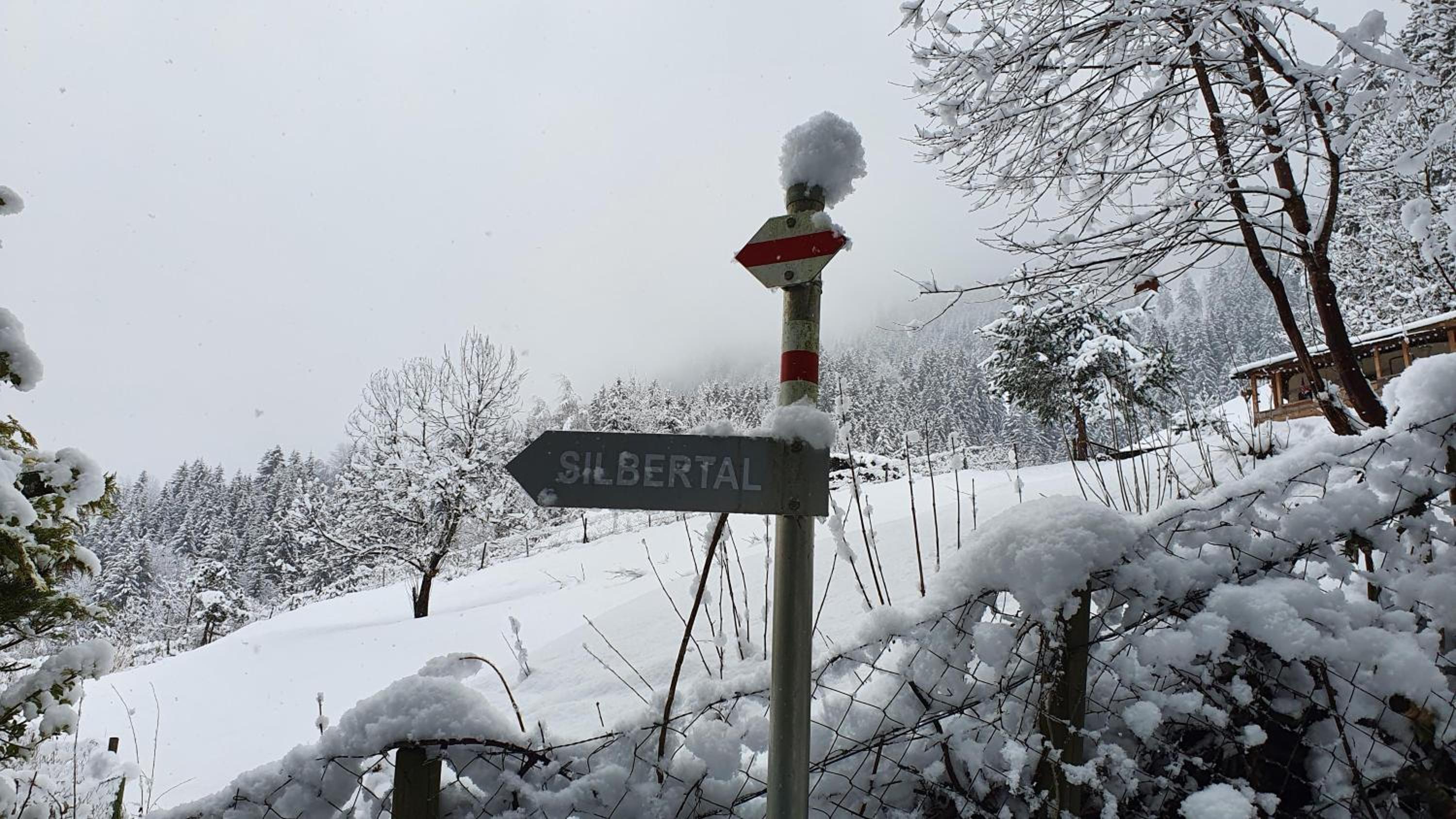Alpenliebe Montafon