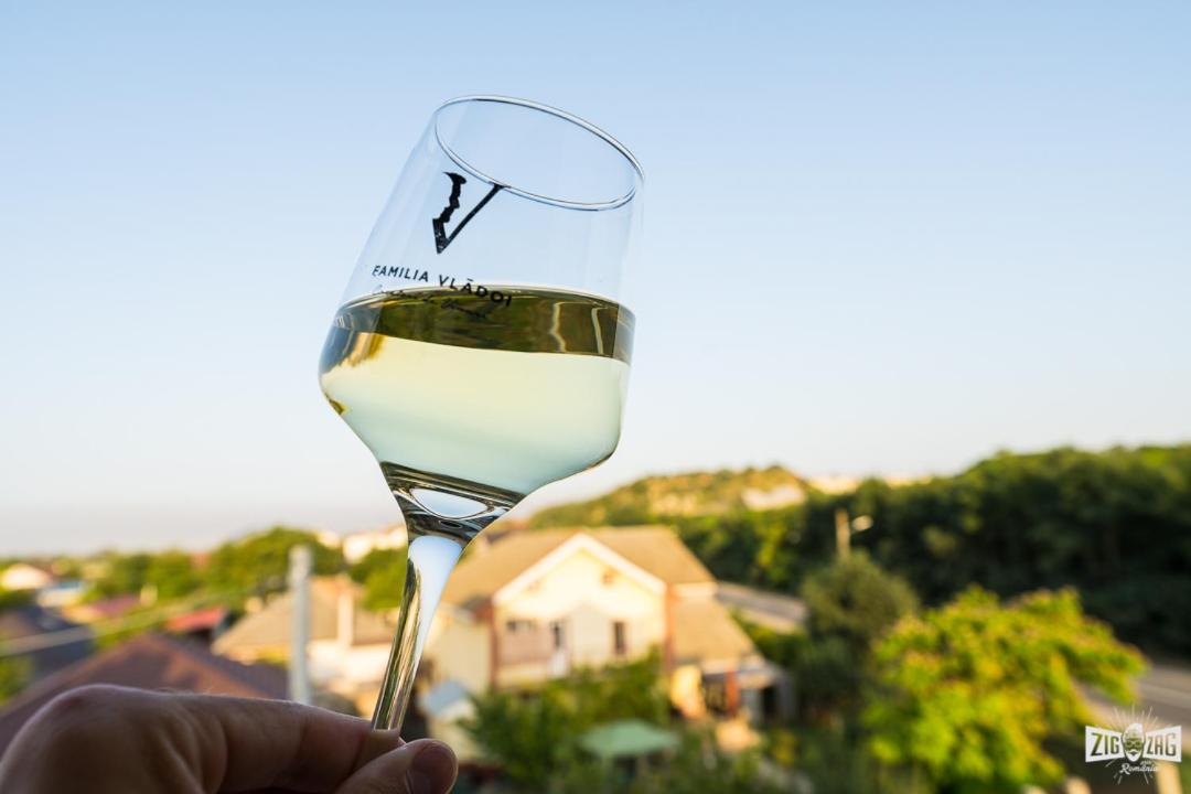Casa Familia Vladoi view 3