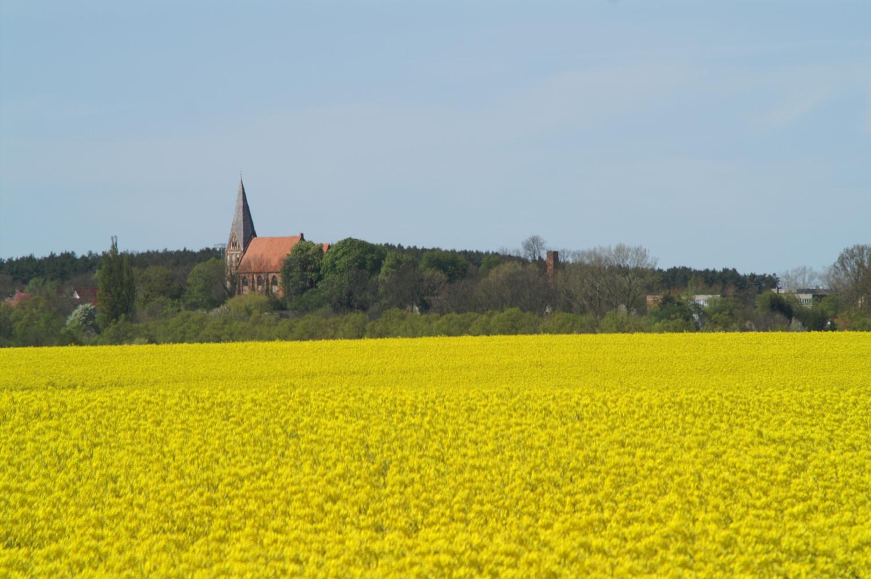 Museumshof Puddemin view 4