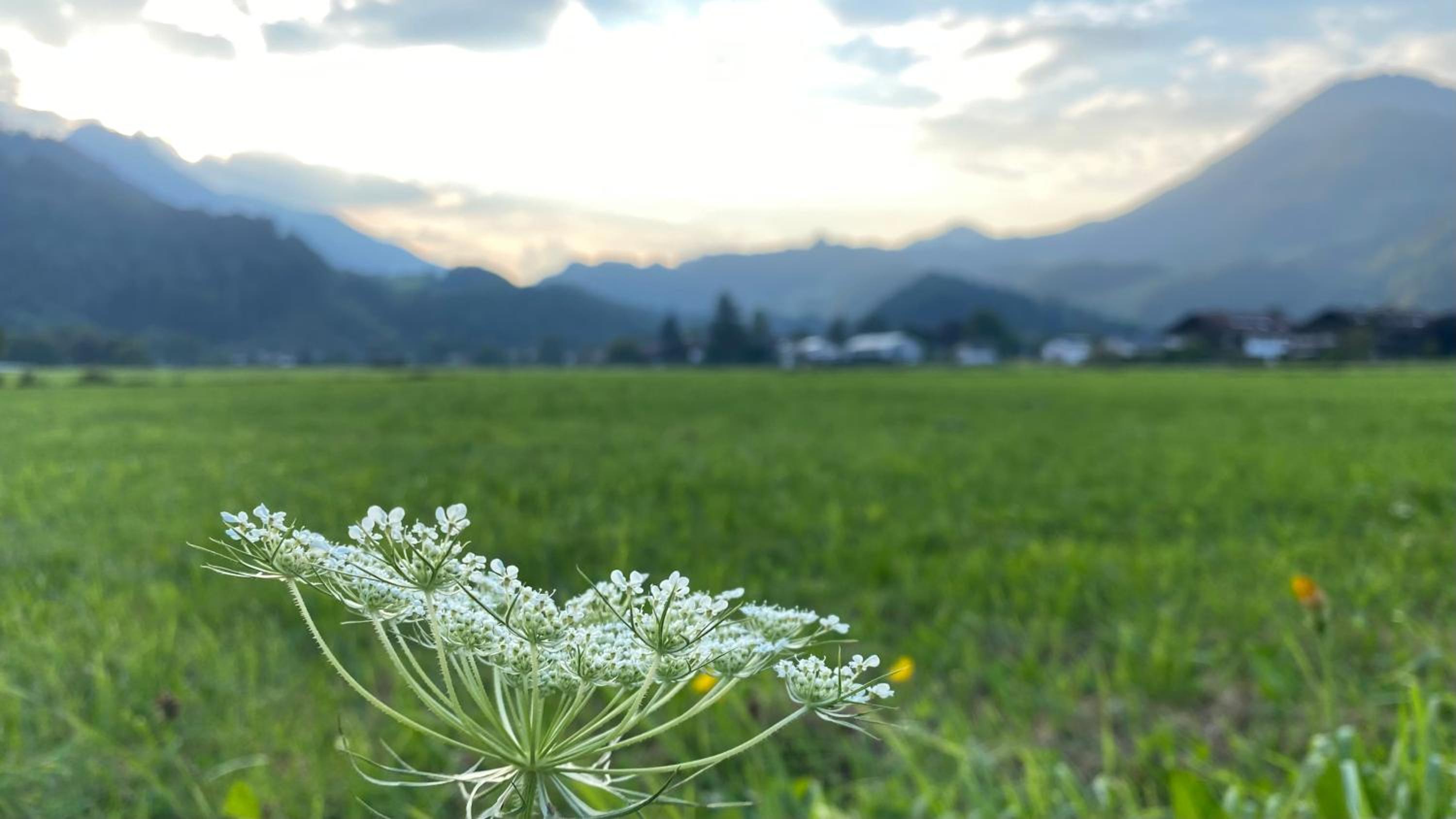 Ferienwohnung Kranzhornblick - Alpenmagie Suites view 5
