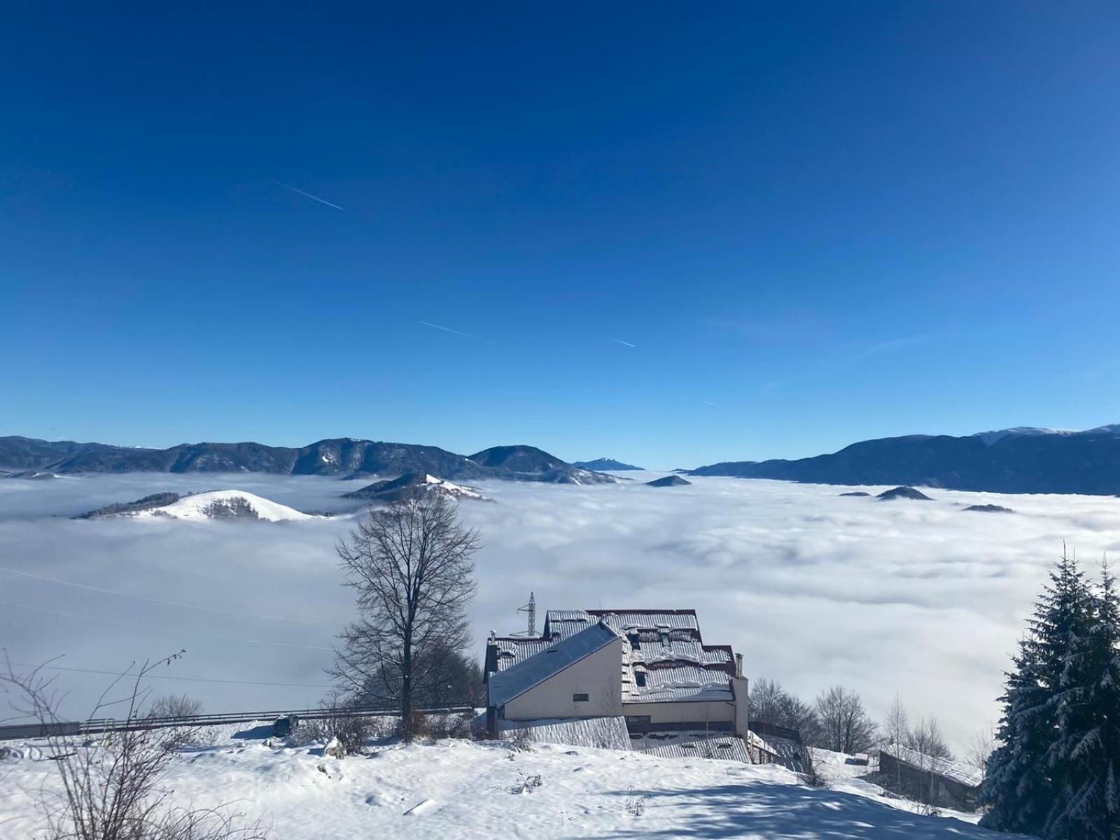 Fântâniţa Haiducului - Refugiu în natură & bucătărie locală