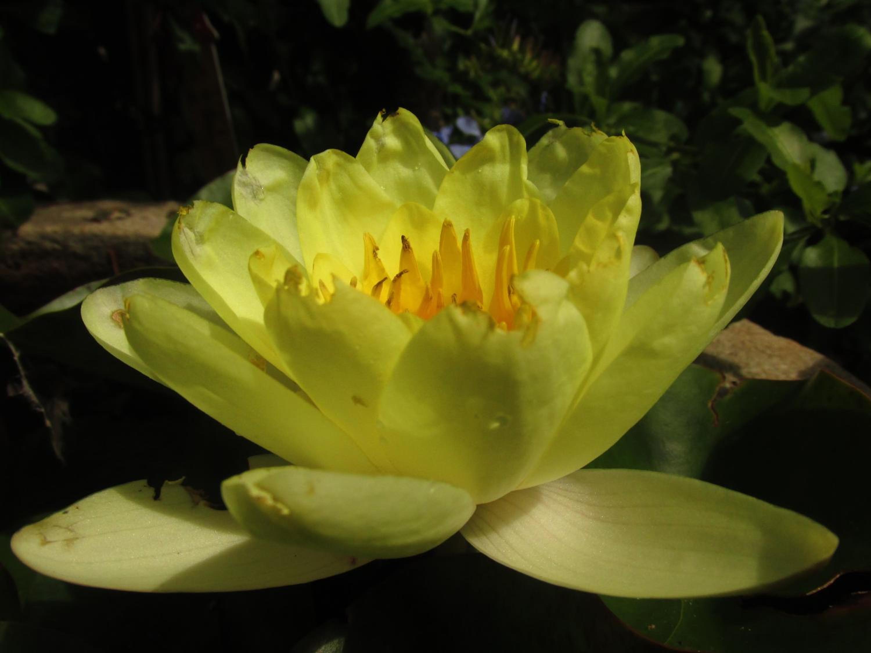 Photo 42