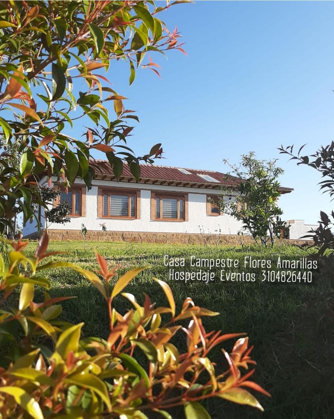 Home Boutique Flores Amarillas