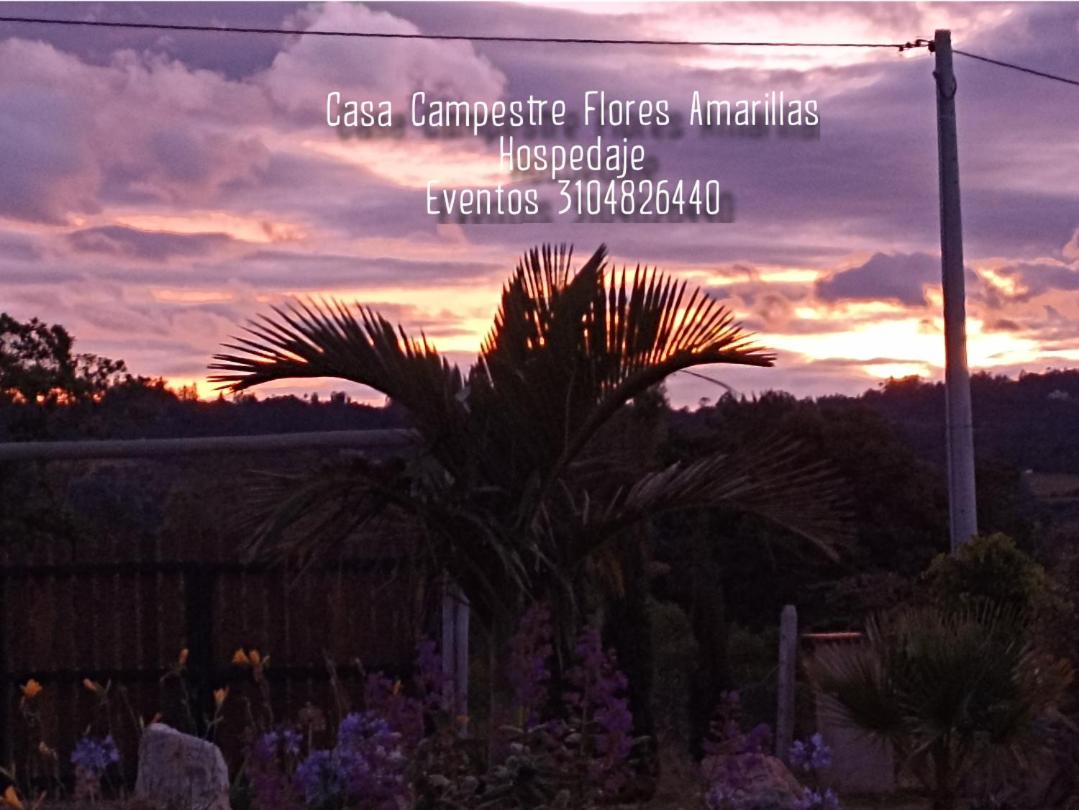 Home Boutique Flores Amarillas