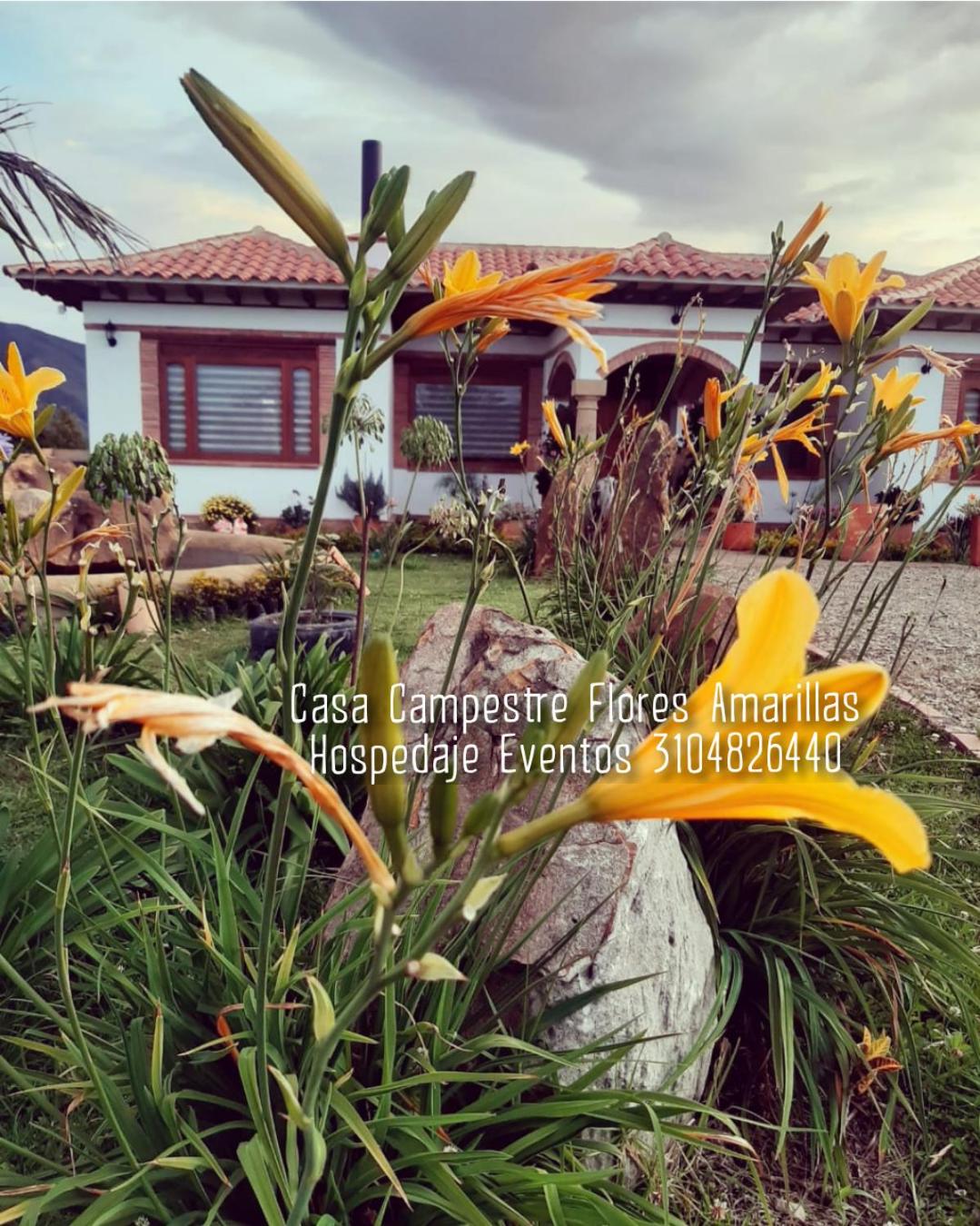 Home Boutique Flores Amarillas