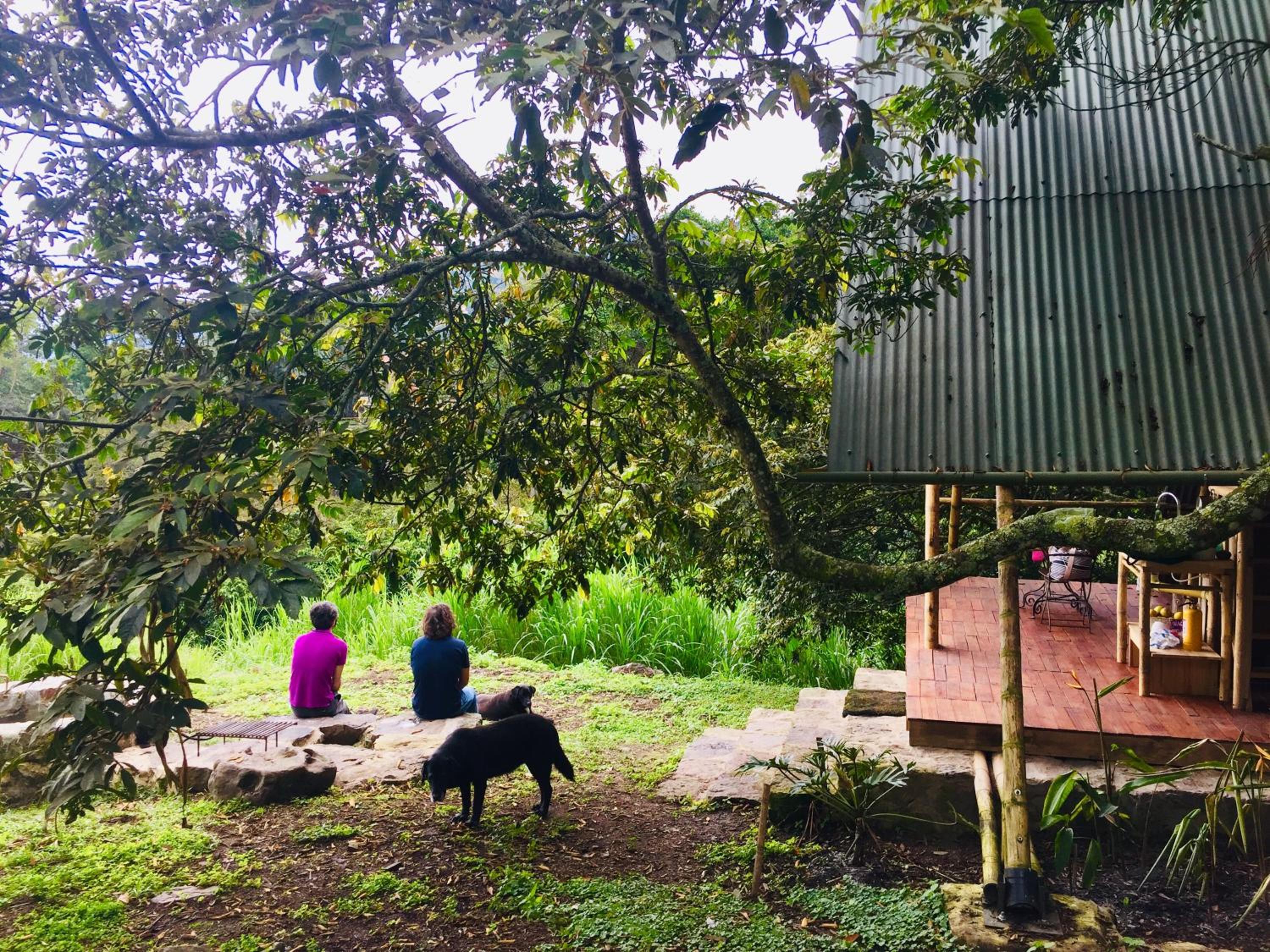 Glamping El Árbol en la Casa