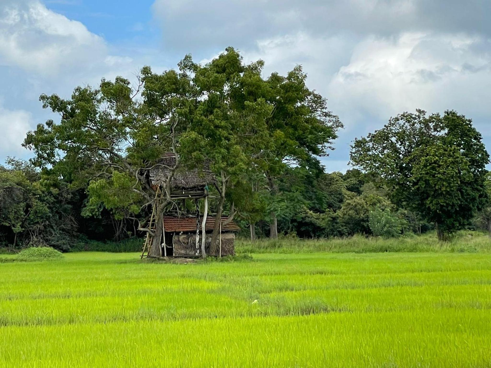 Thilina Homestay view 4