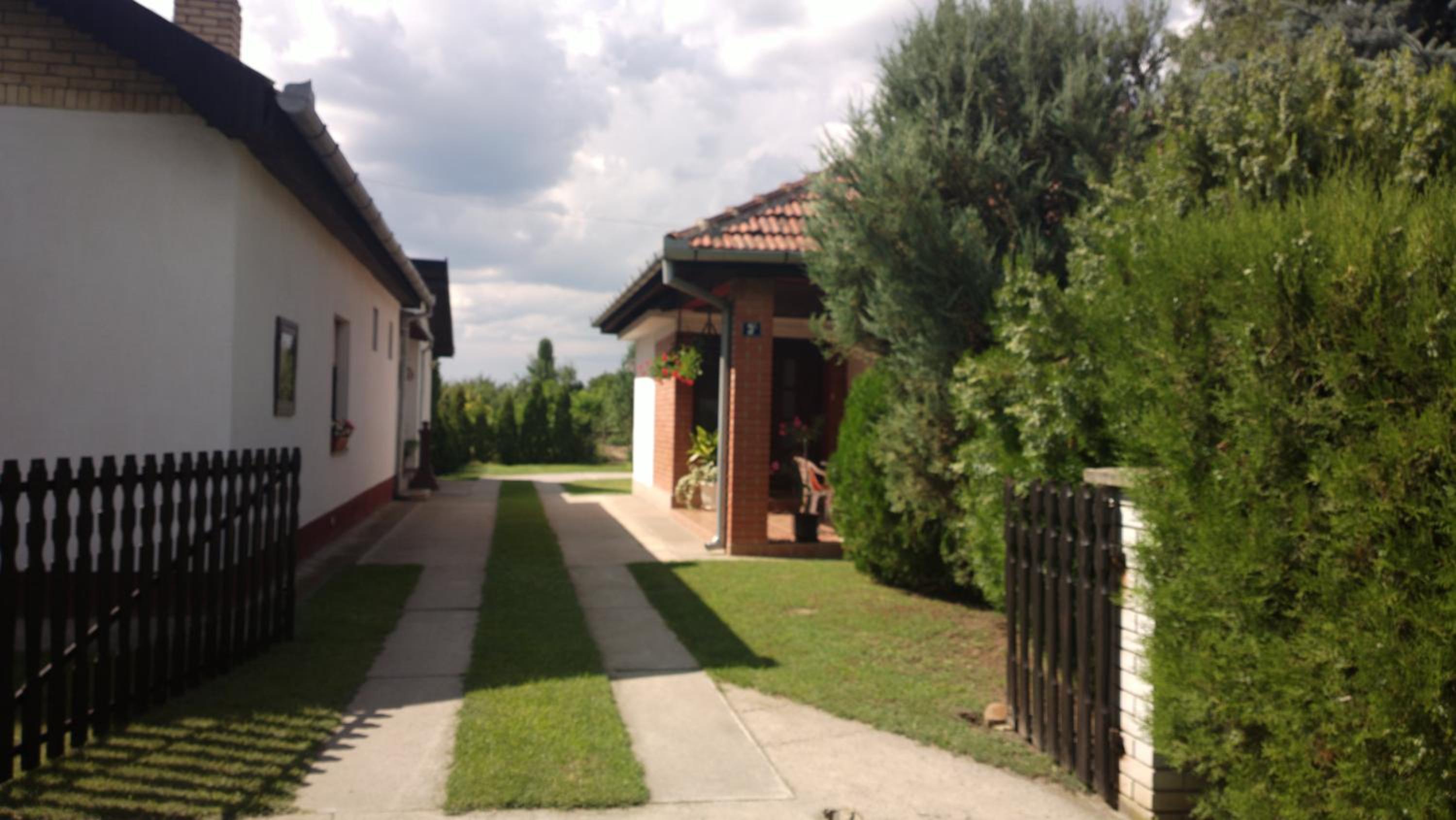 Photo 46