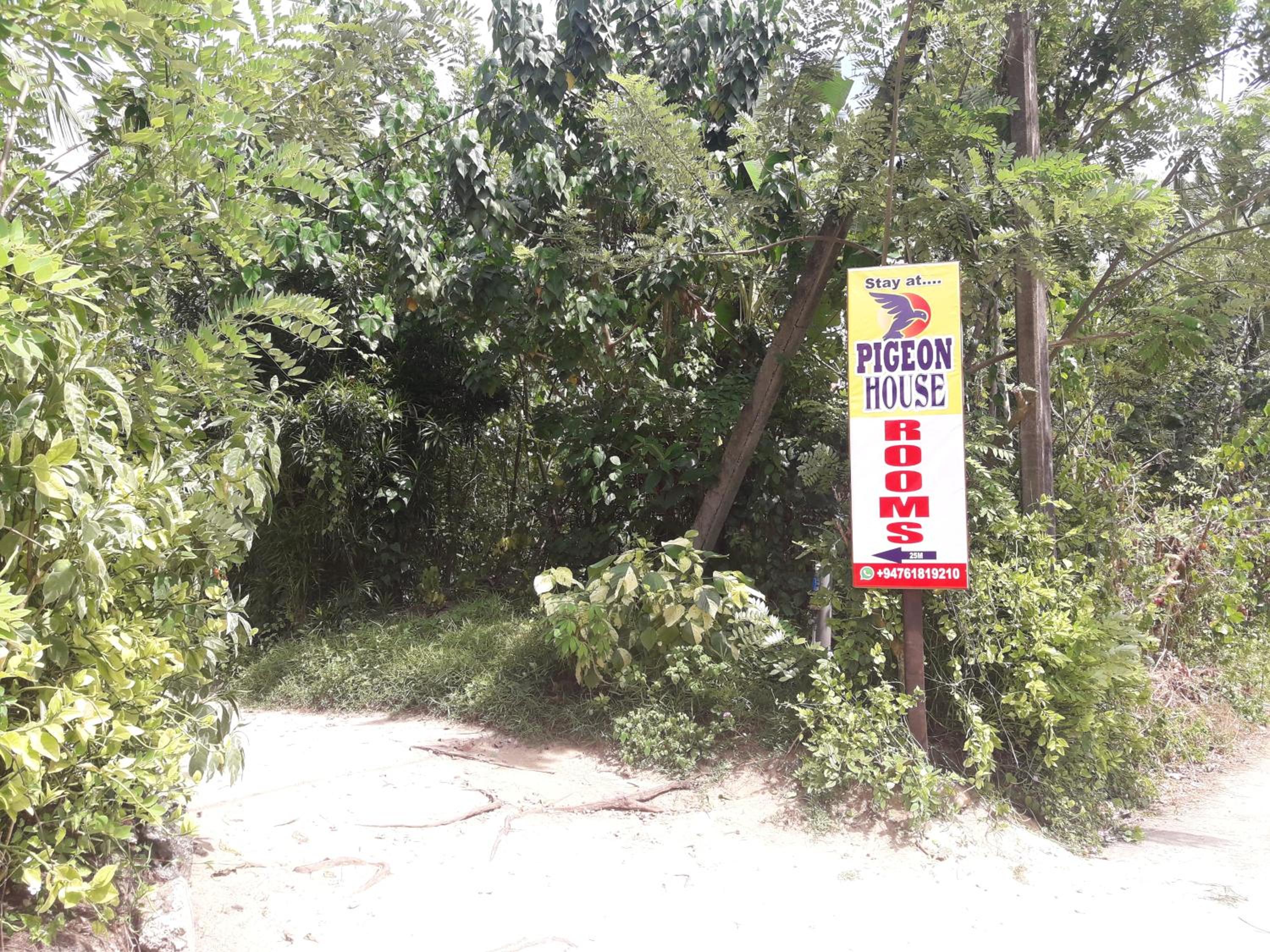 PIGEON HOUSE KABALANA