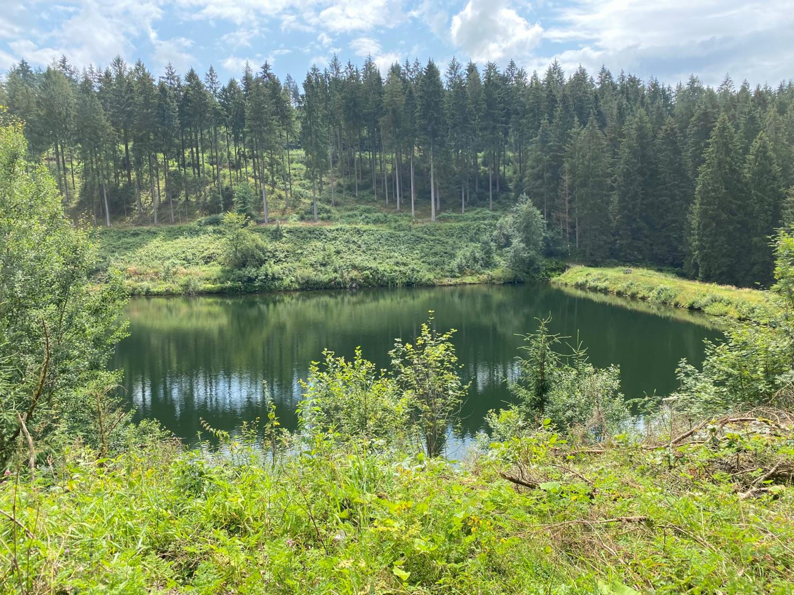 Ferienwohnung Hohensee EG