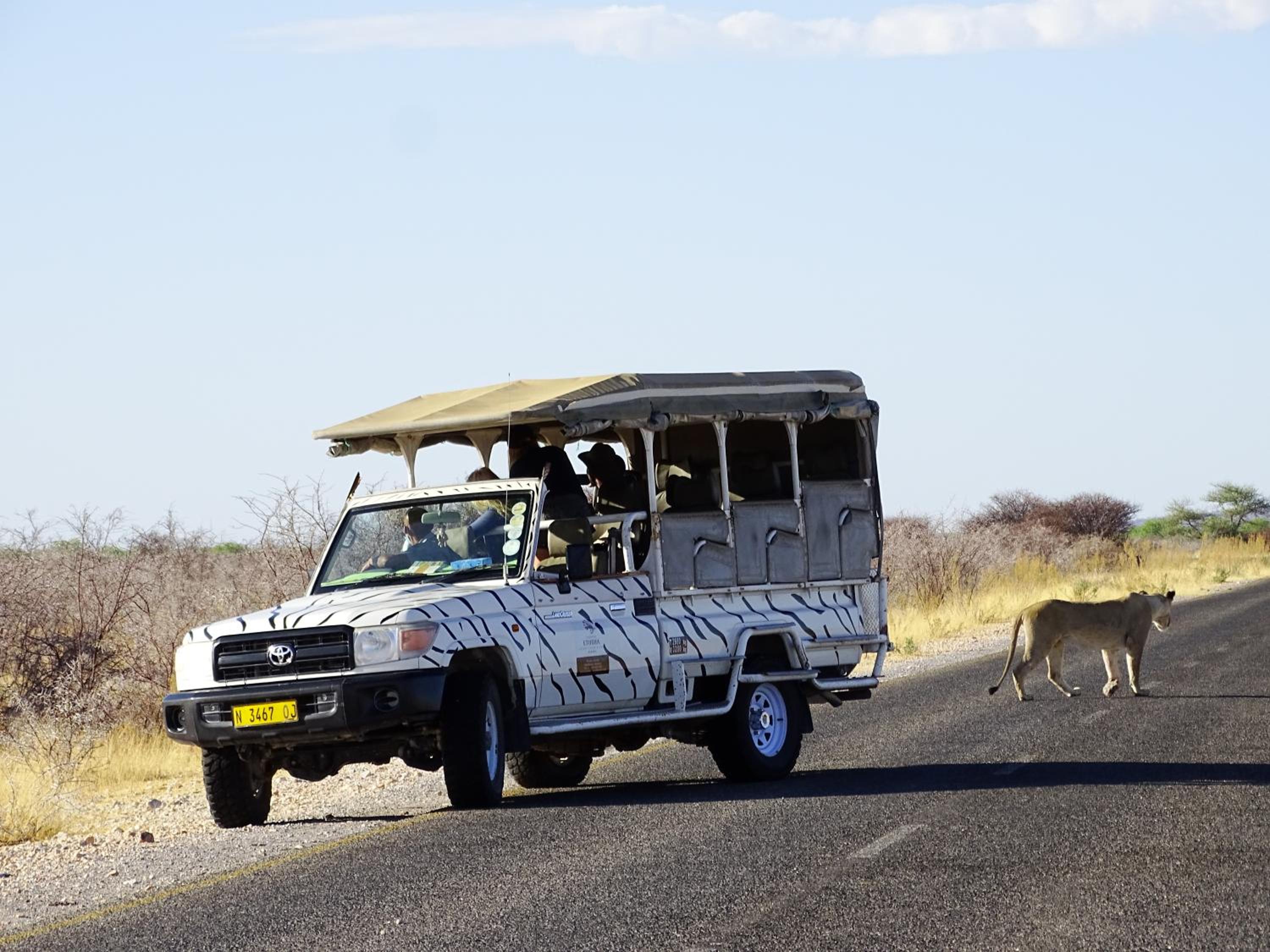 Etosha Safari Camping2Go view 5