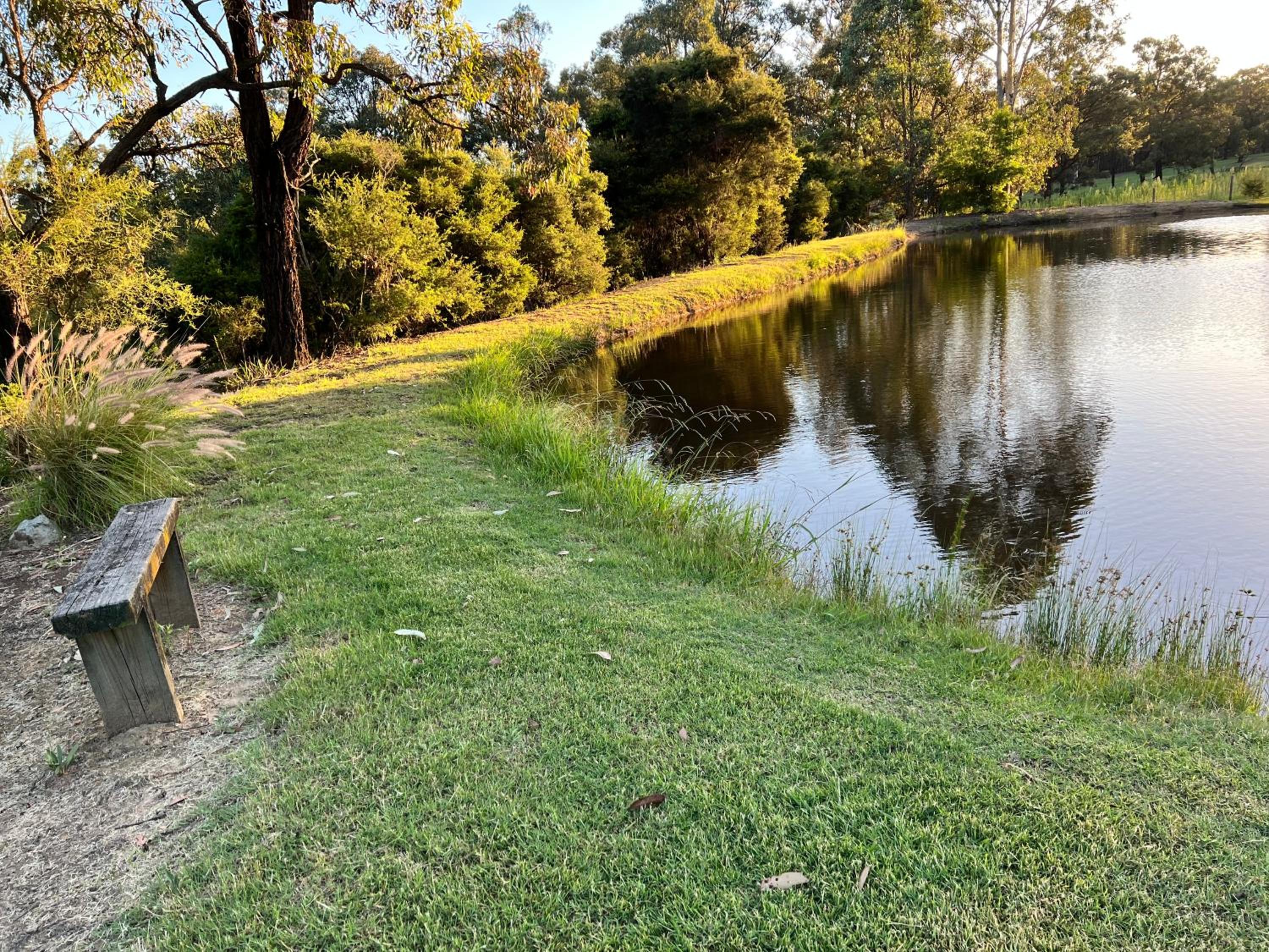 Carinya Cottage Hunter Valley - Nature retreat