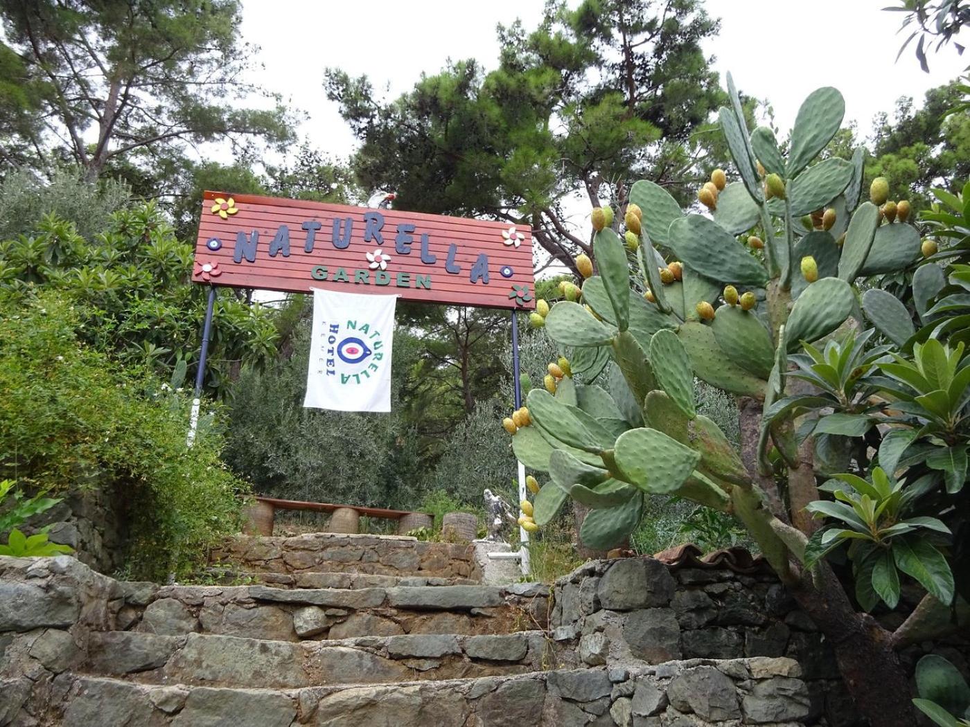 NATURELLA APART HOTEL - Image 221