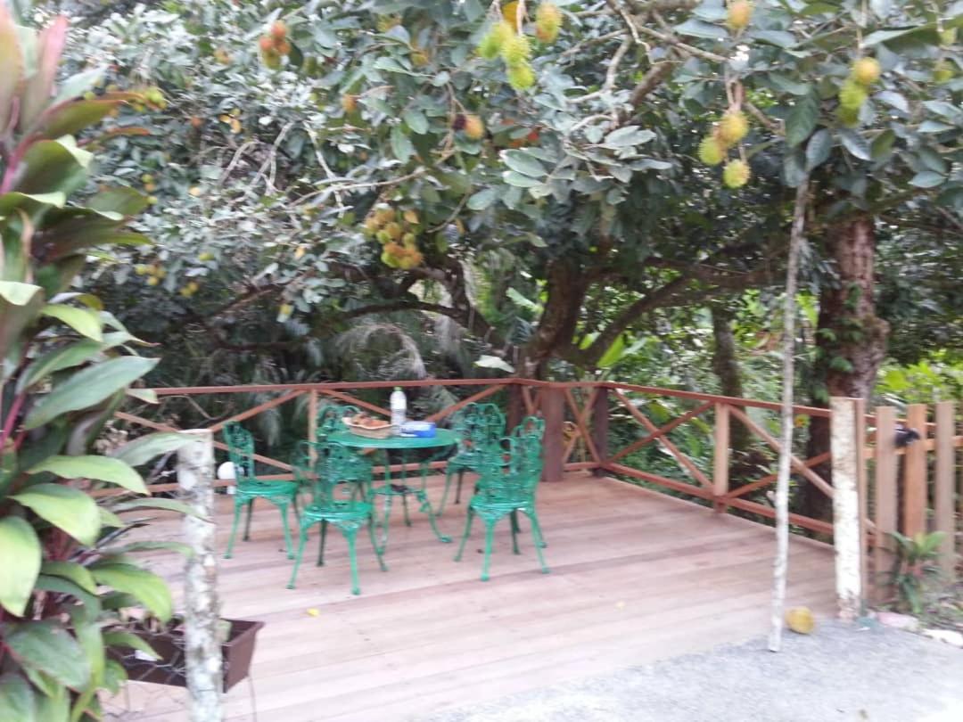 Green Season Cottage photo 8
