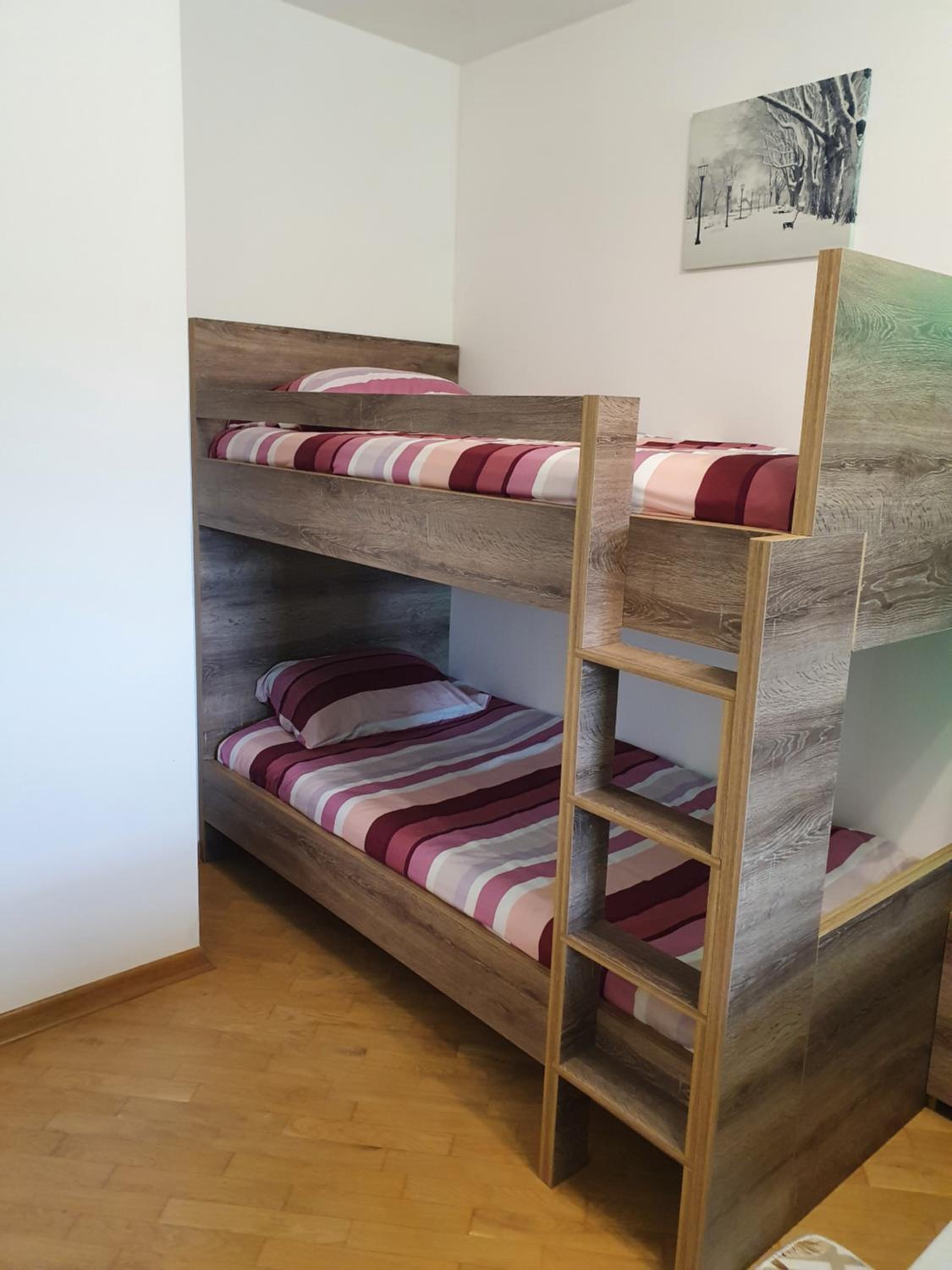 Apartman Bistrica view 4