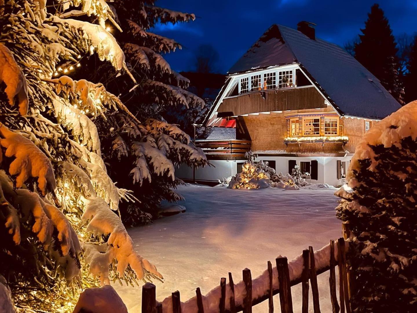 Chalet am Birkenhain view 4