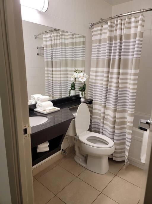 Free Parking & Wi-Fi! One Bedroom Luxury Suite view 3