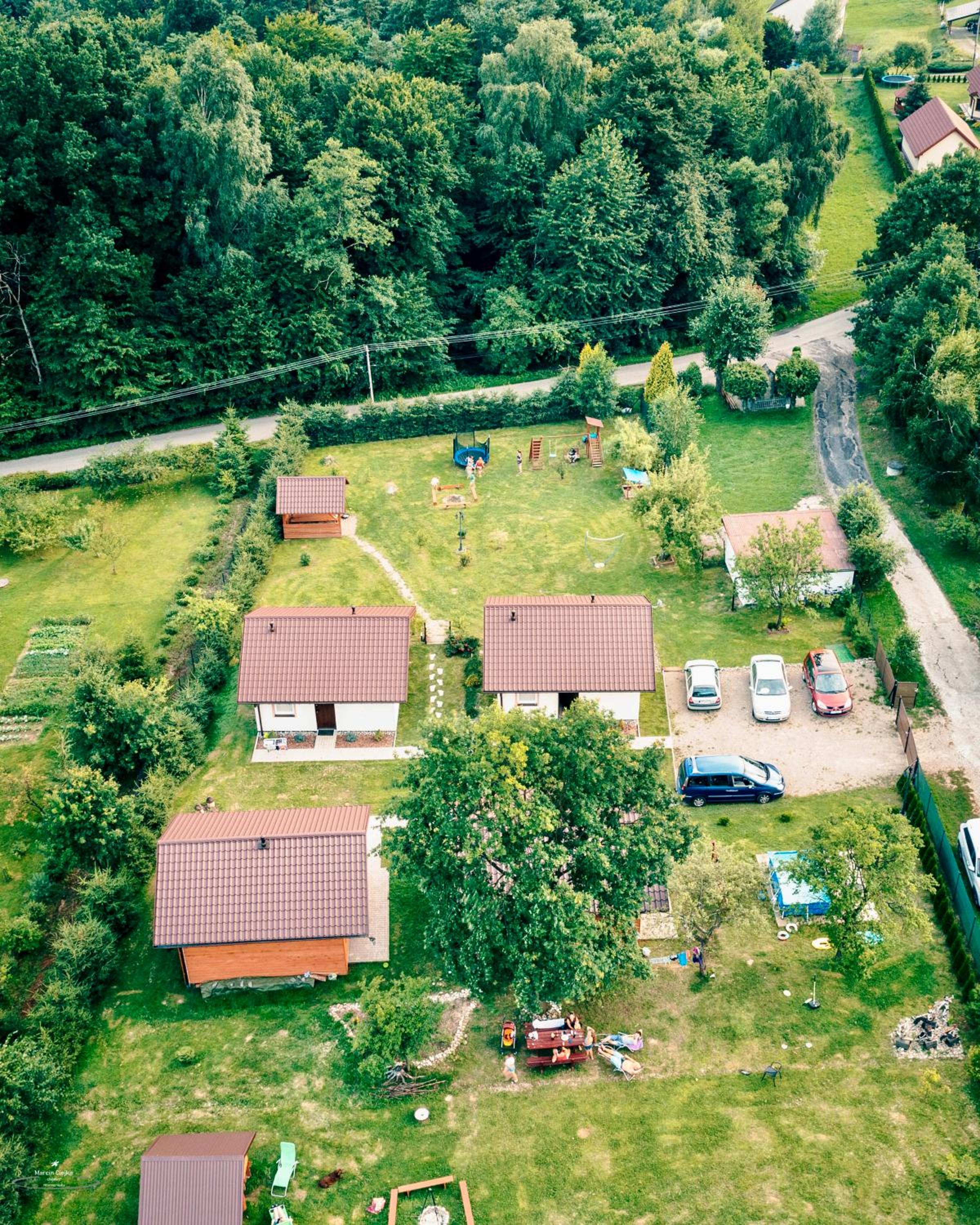 Photo 45